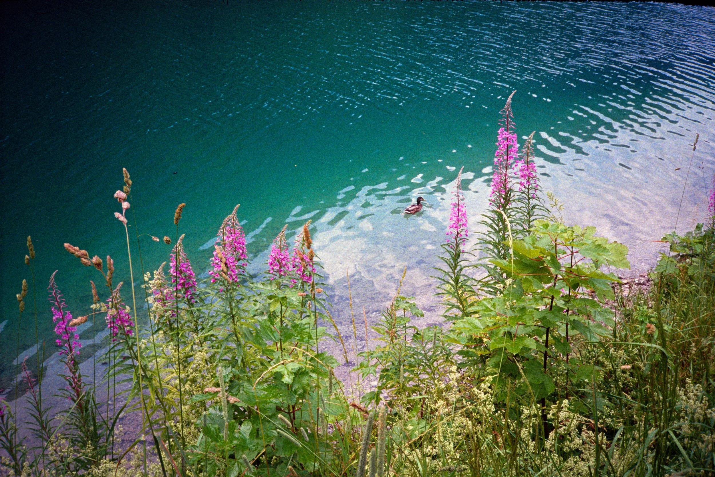 germany photos-32.jpg