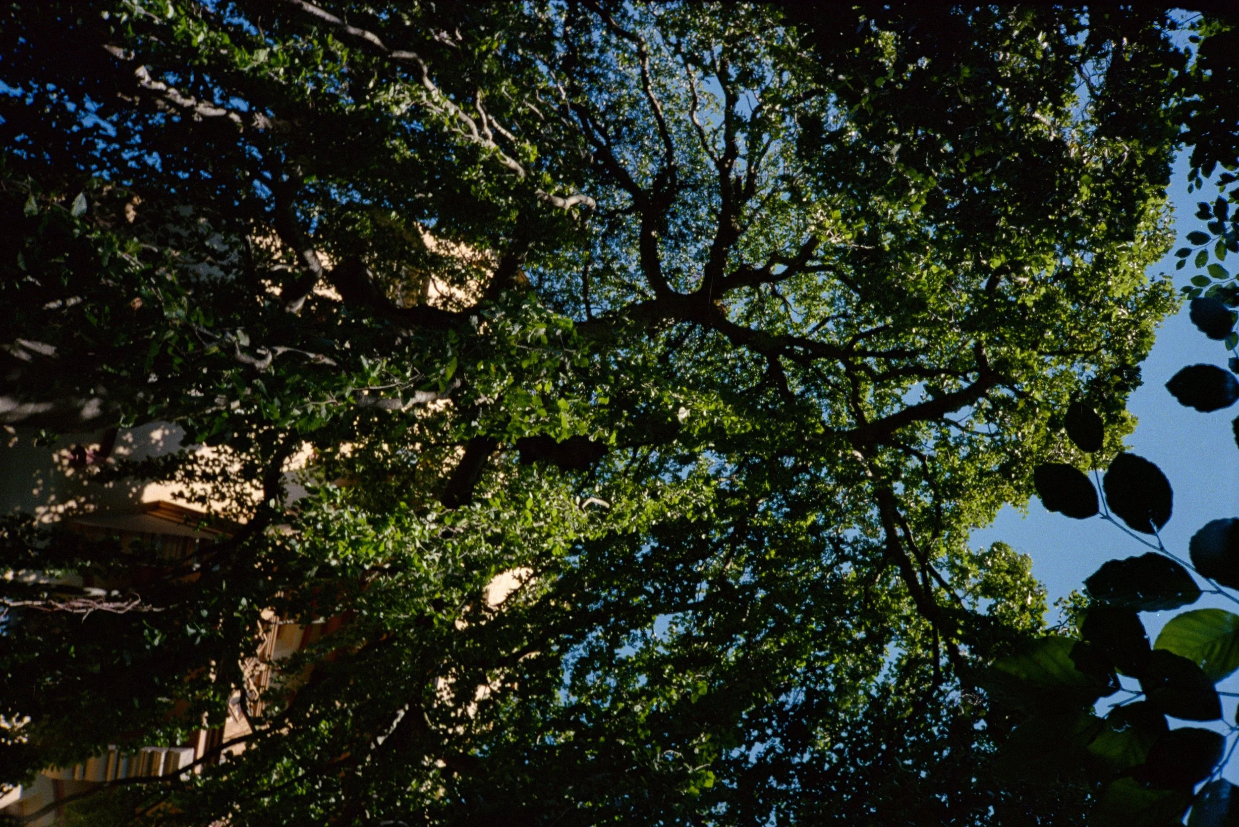 germany photos-09.jpg