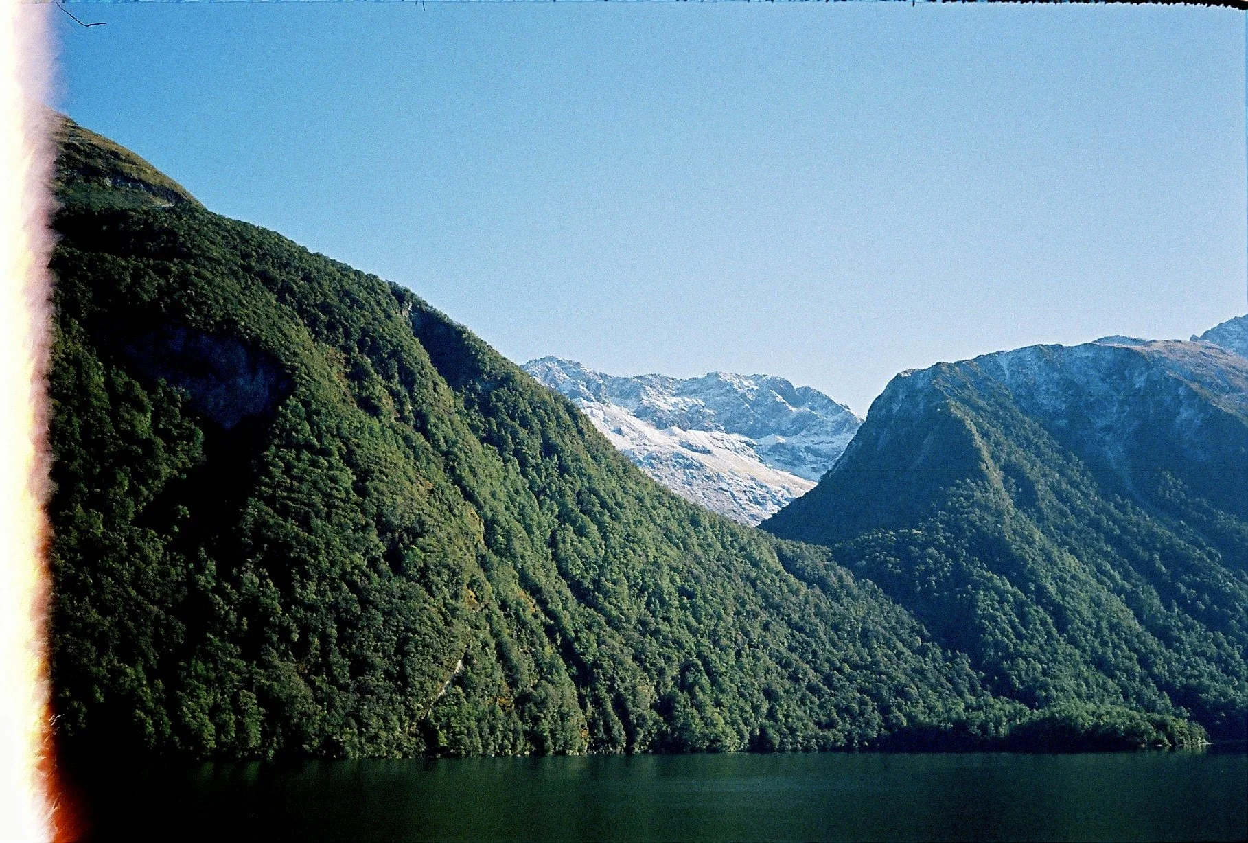 IMG_1196 3.jpg