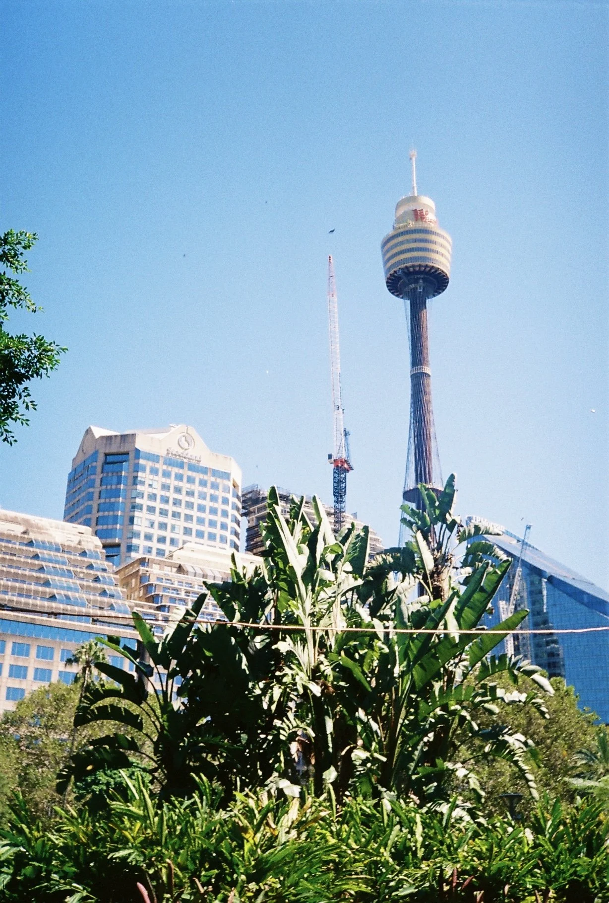 B002999-R1-05-4.jpg