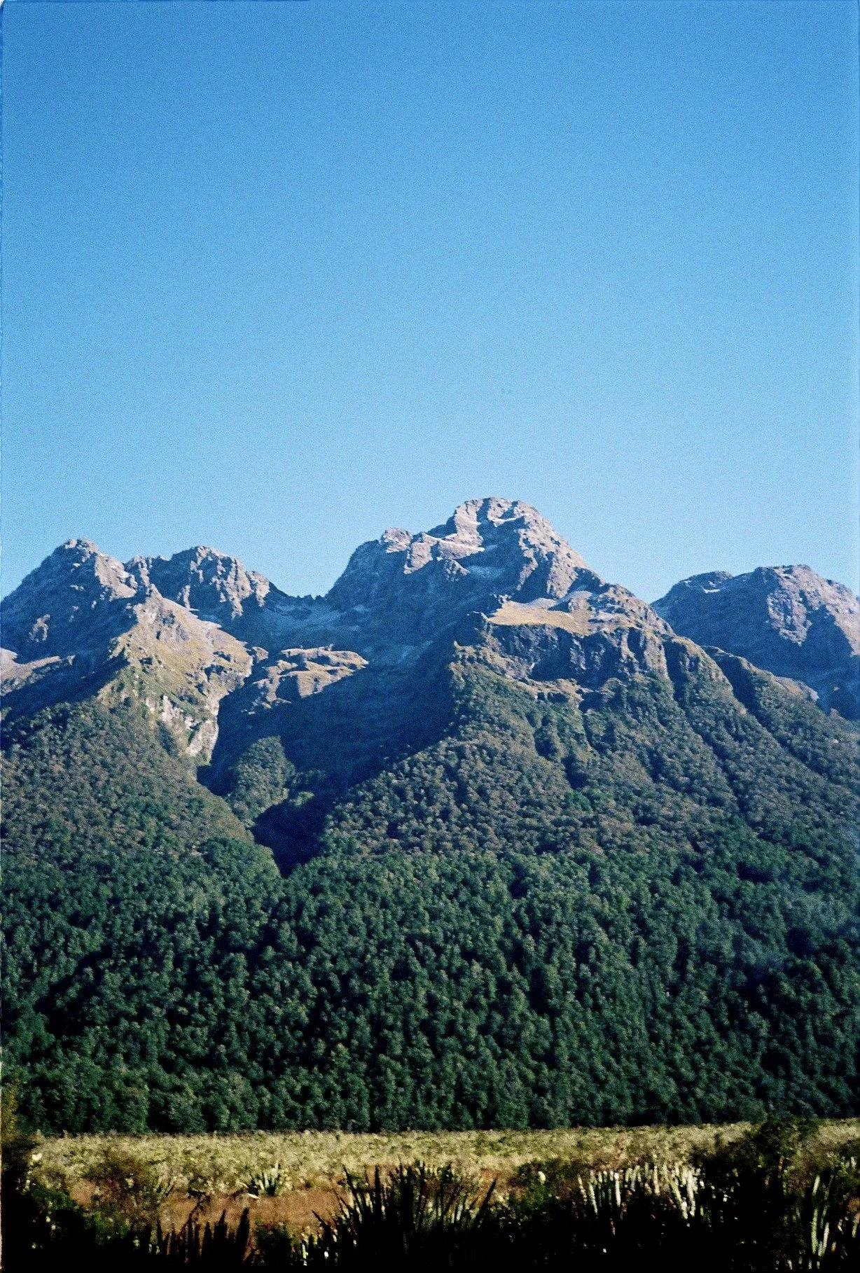 IMG_1079 2.jpg
