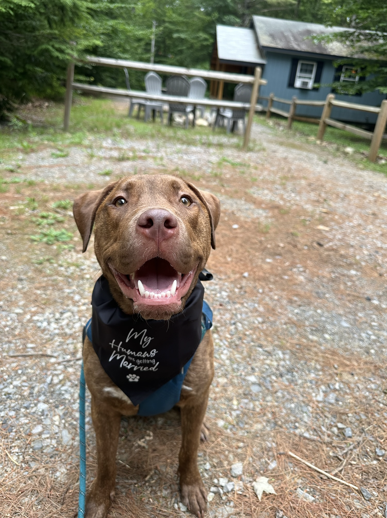 Screenshot 2026-01-02 at 8.56.52 AM.png