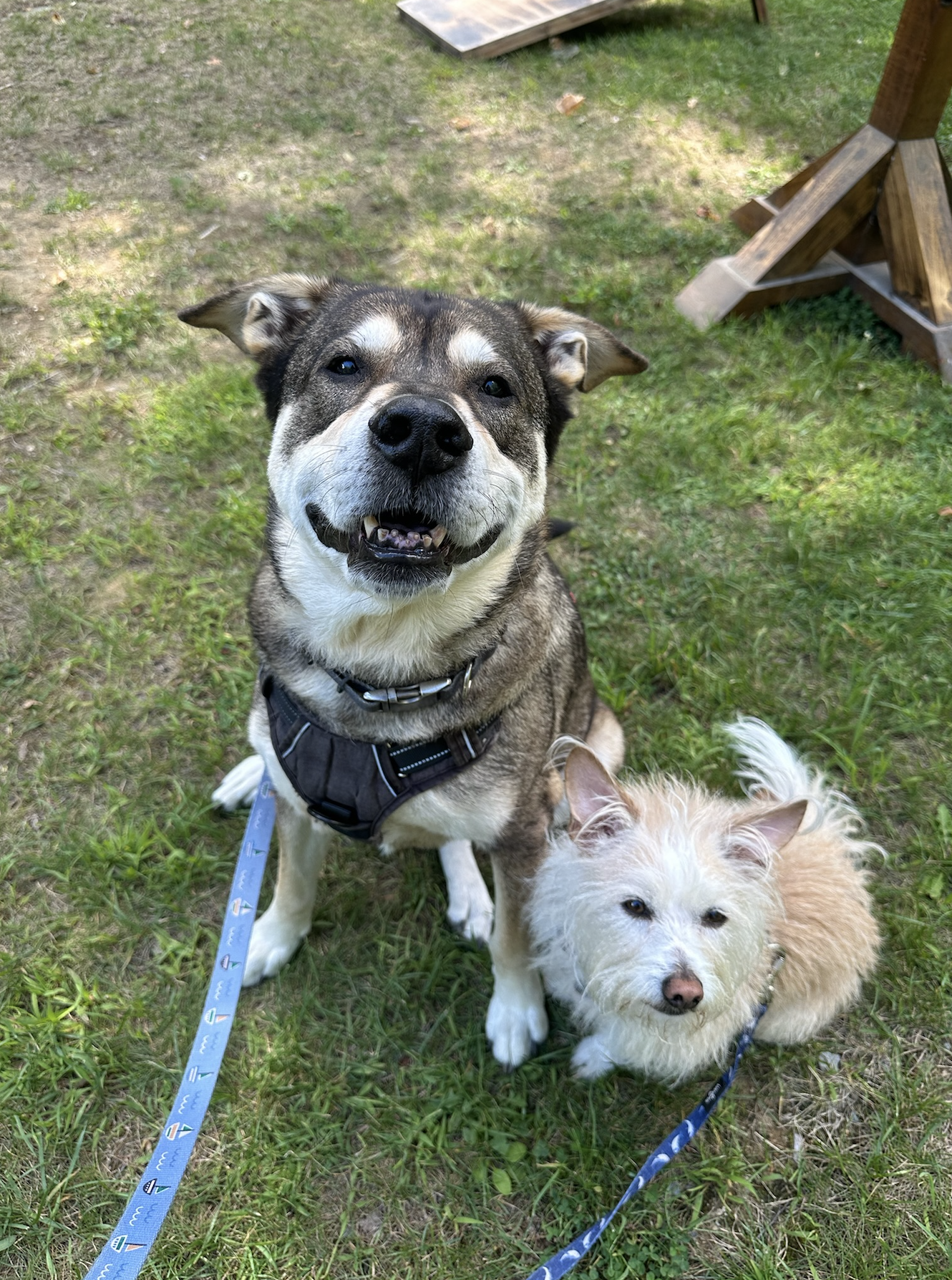 Screenshot 2026-01-02 at 8.55.39 AM.png