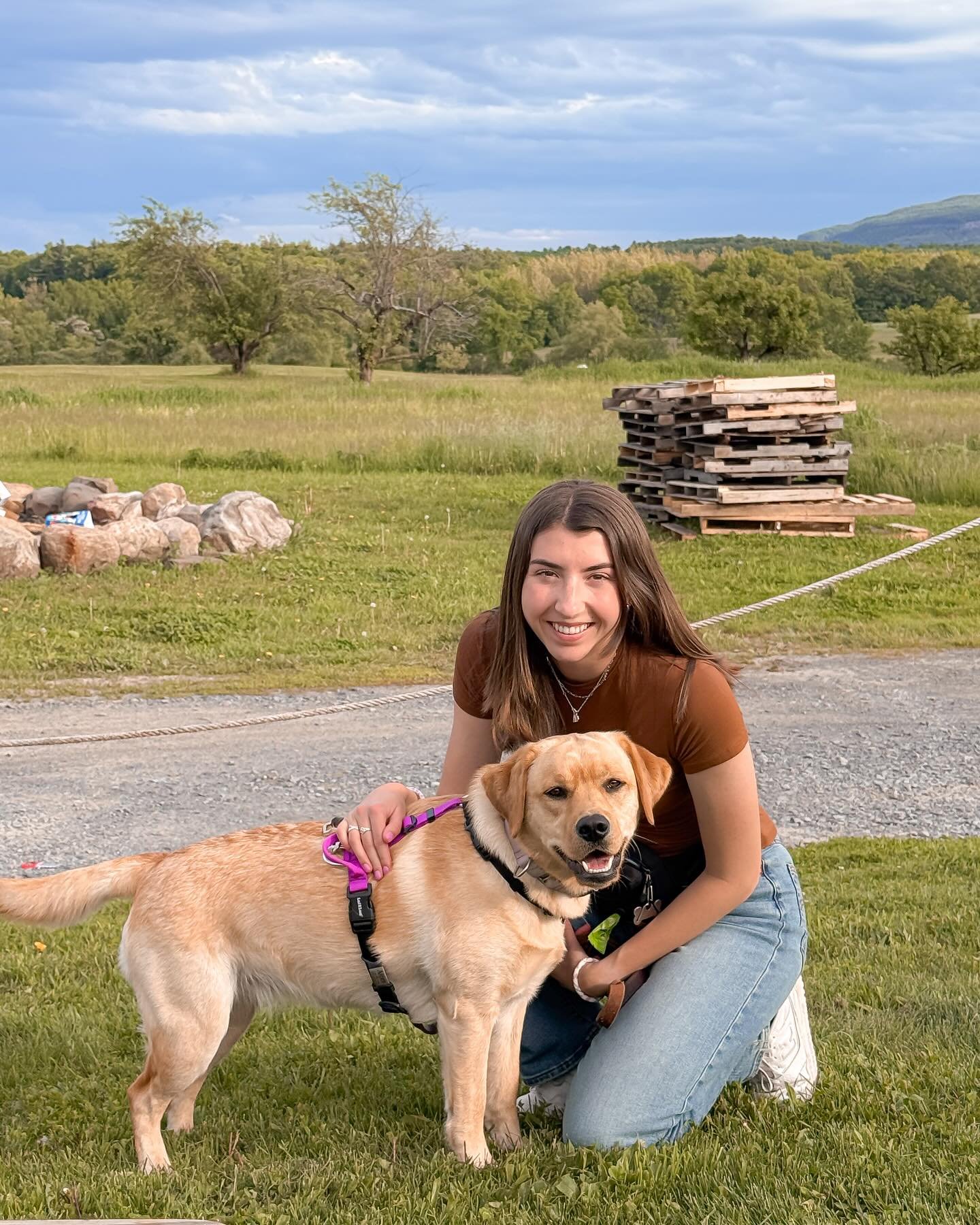 Friendly reminder: socialization is important 

BUT

Setting matters. Work your way up to more challenging places and remember to take things at your dogs pace💜

#dogtrainer #dogtraining #albanydogs #518 #518dogs #upstateny #upstatenydogs