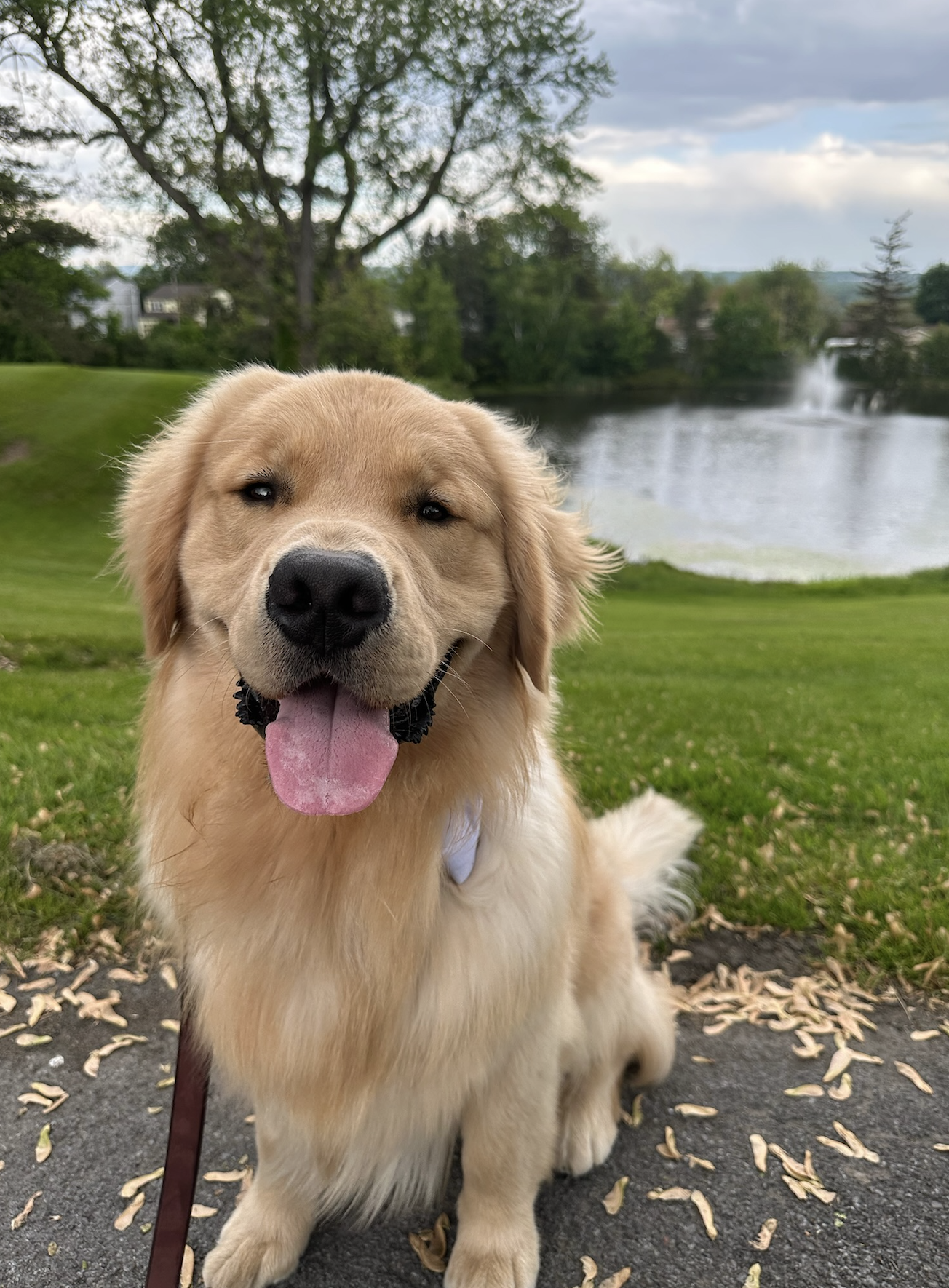 Screenshot 2026-01-02 at 8.56.39 AM.png