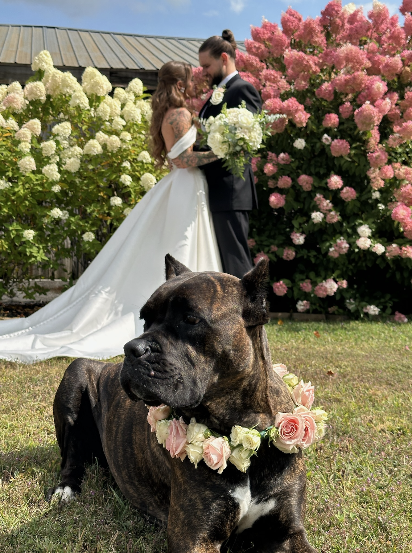 Screenshot 2026-01-02 at 8.55.52 AM.png