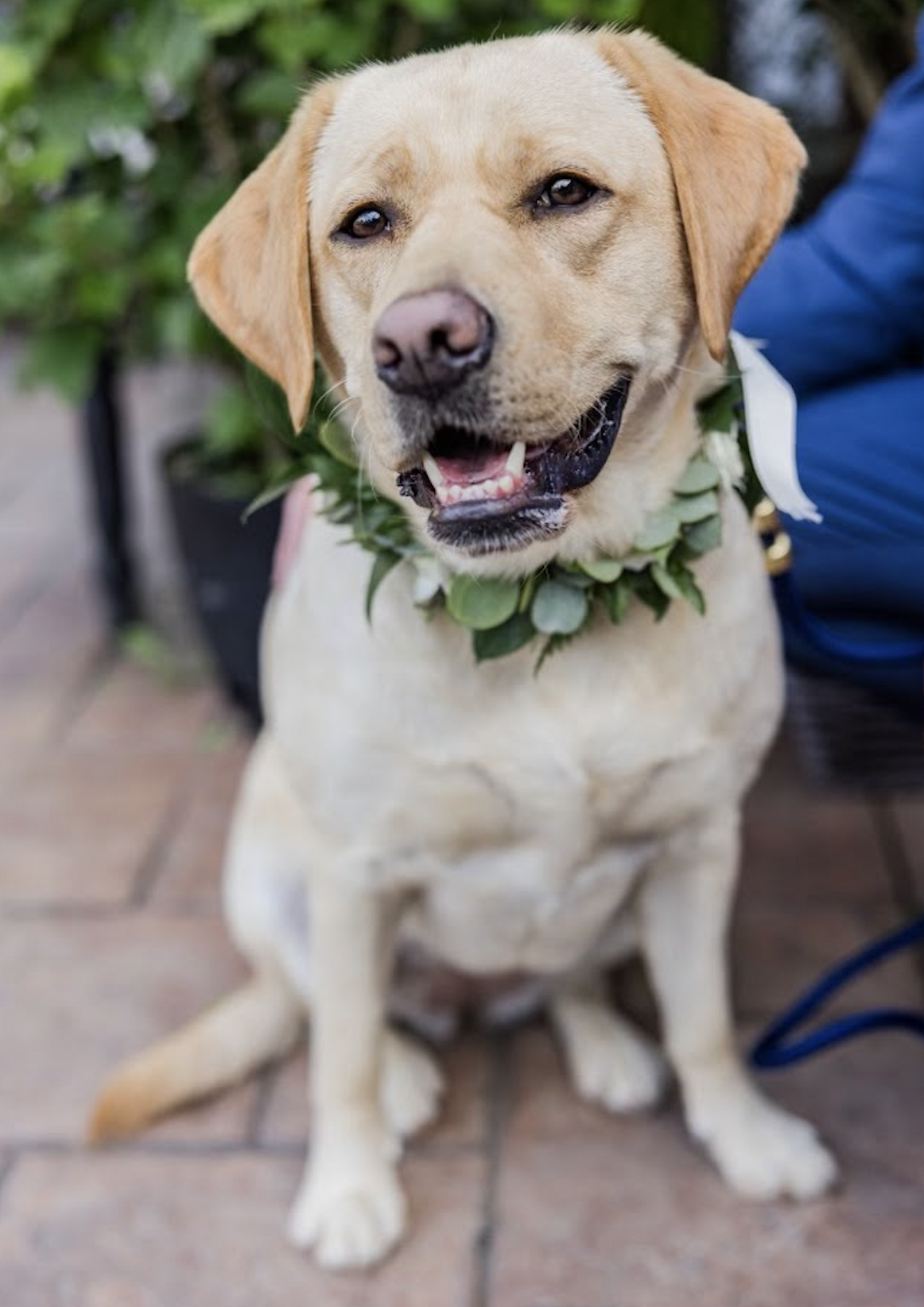 Screenshot 2026-01-02 at 8.55.27 AM.png