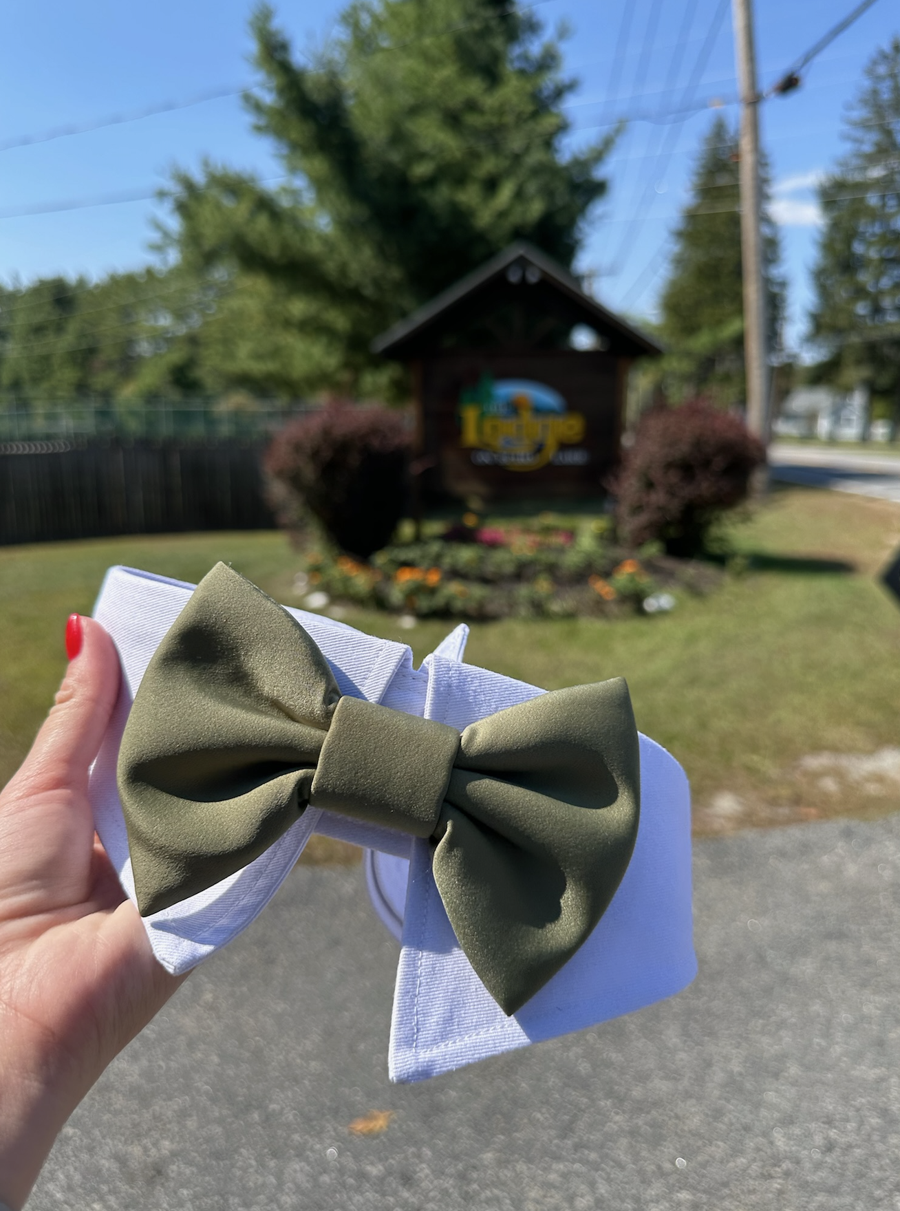 Screenshot 2026-01-02 at 8.54.56 AM.png