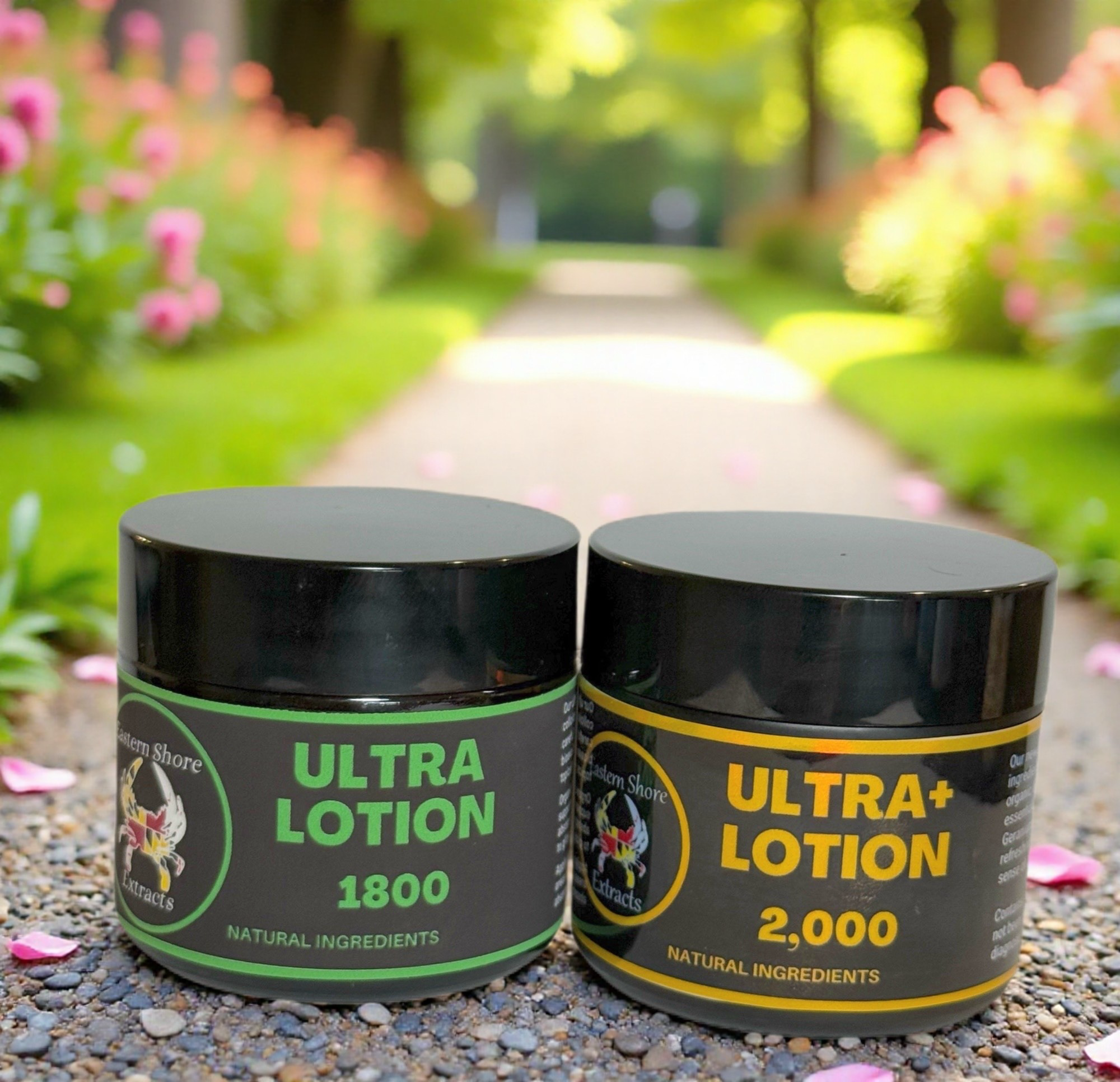 Lotion Duo