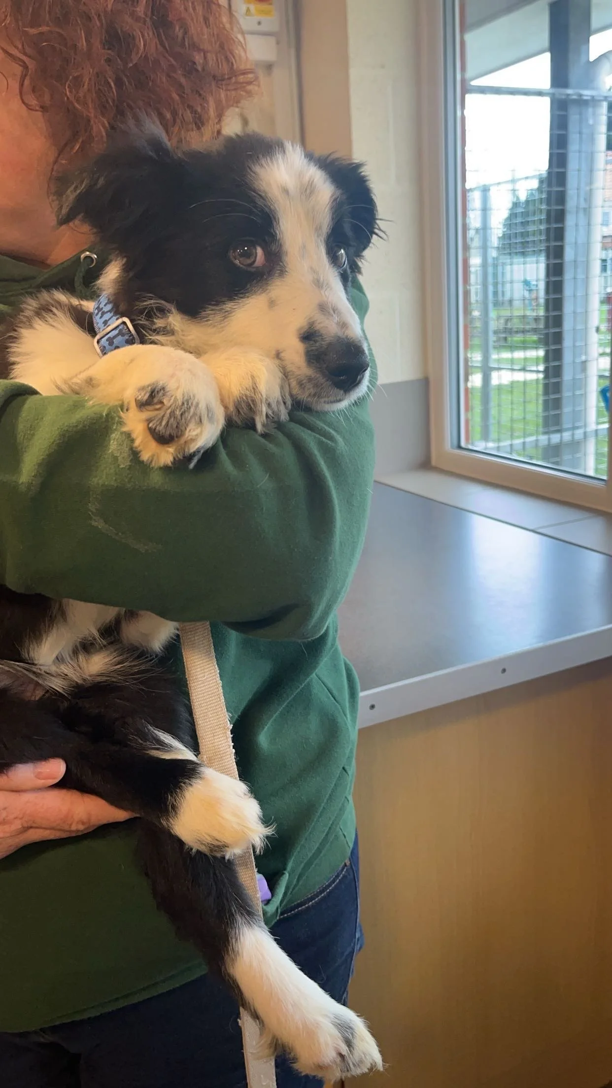 When Behaviour and Pain Overlap: Rosie's Story