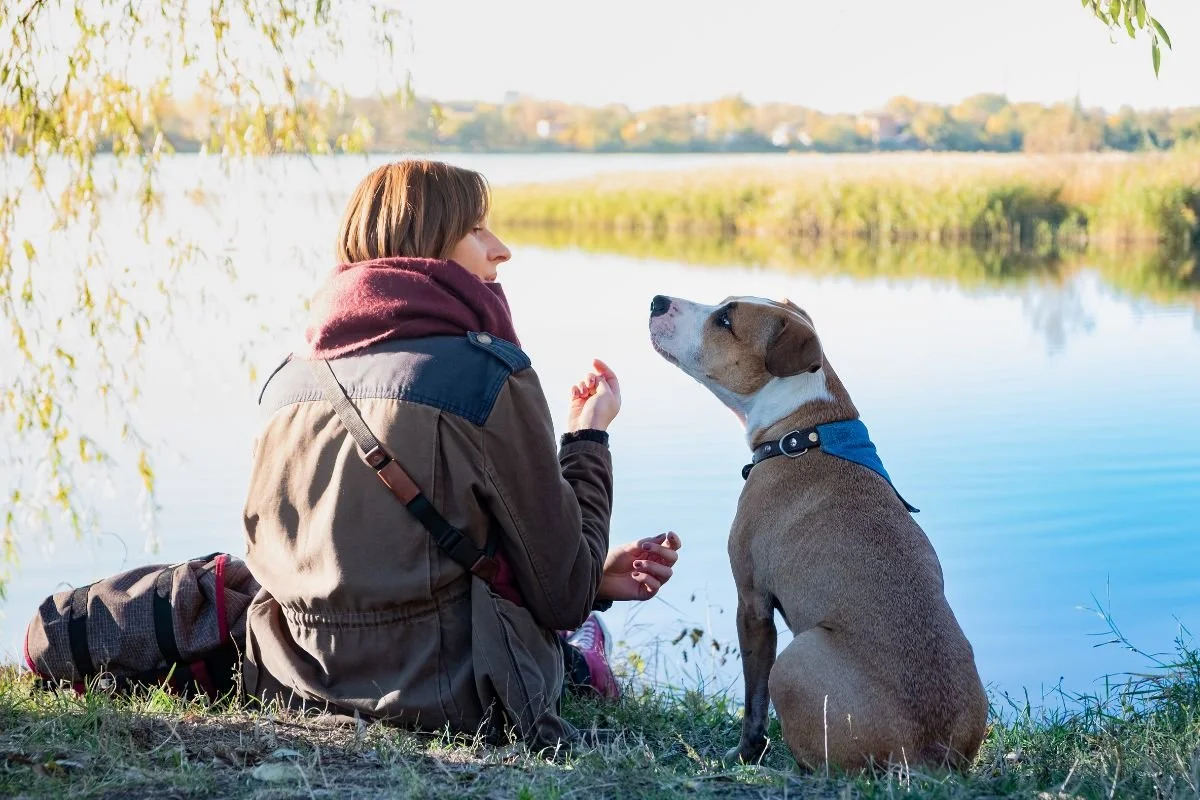 Do Dogs Understand Human Body Language?