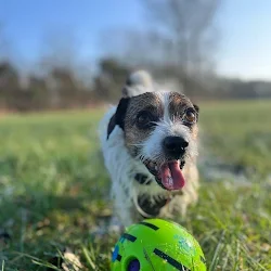 Catherine Docherty.webp