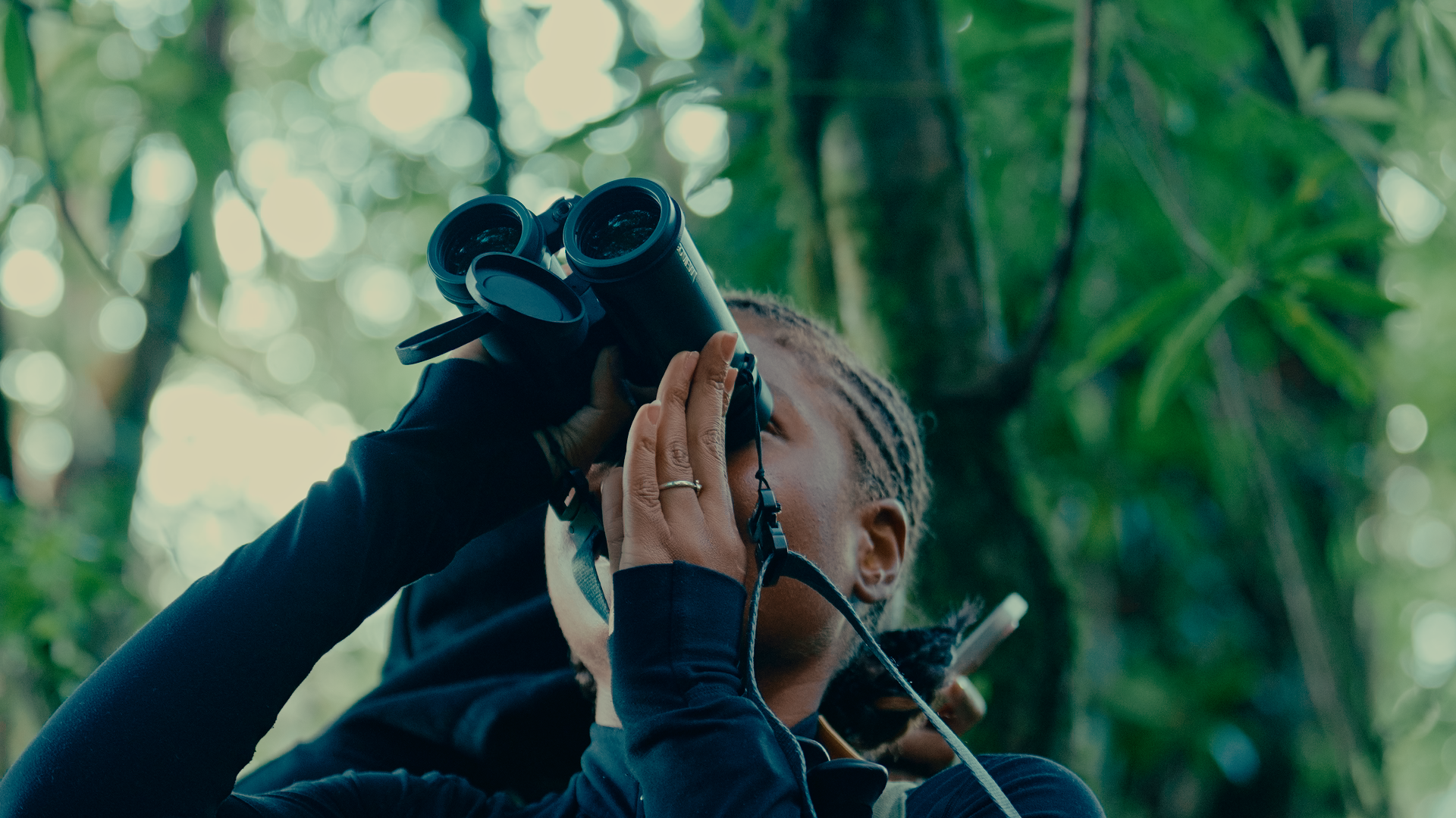 Birdwatching Expedition