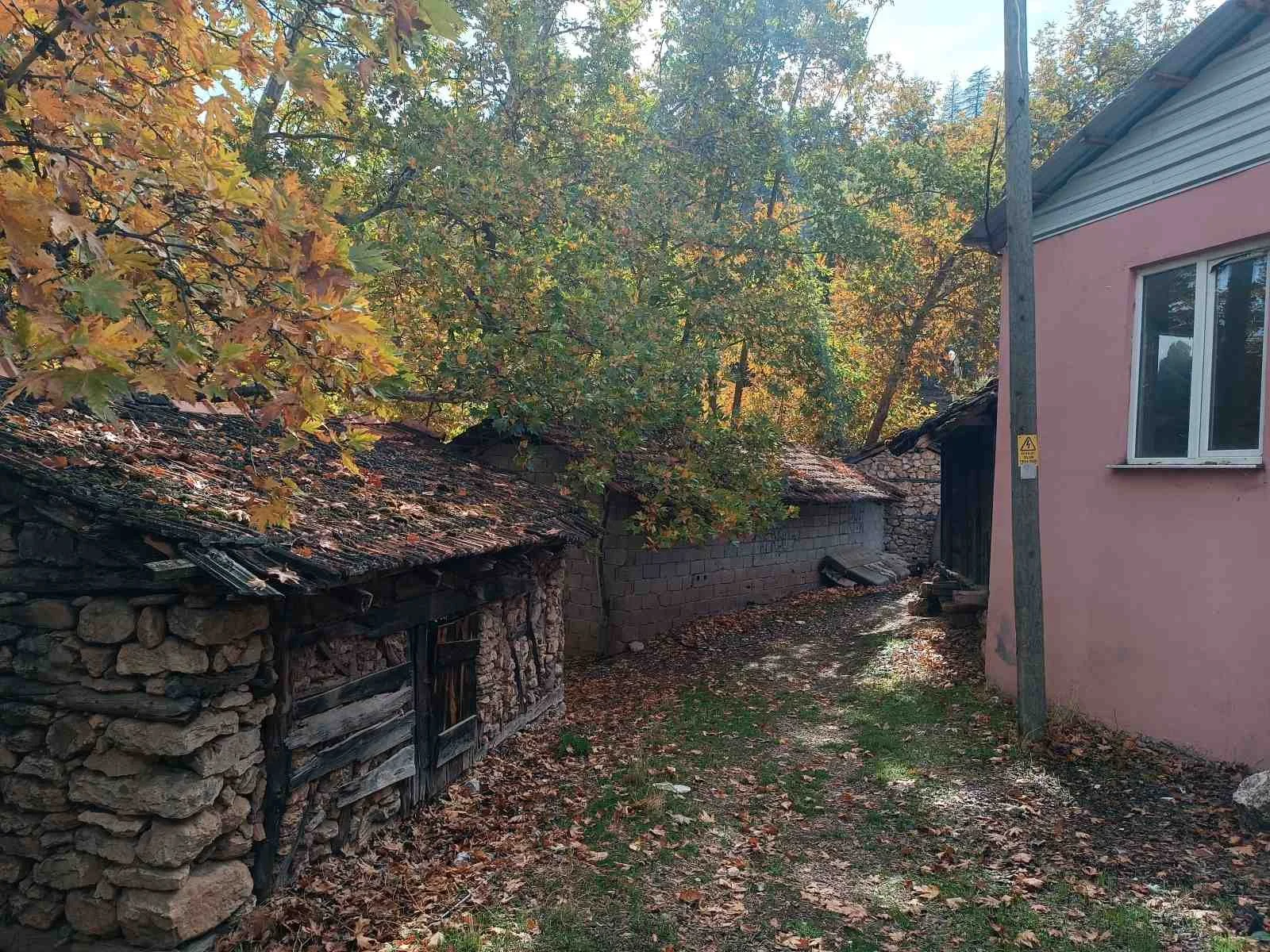 Mevsim sonu yaprak dökümüyle kaplı toprak yolda, iki eski taş ve ahşap baraka ile yan yana, yakınında bir elektrik direği ve bitişikte pembe renkli bir ev vardı.