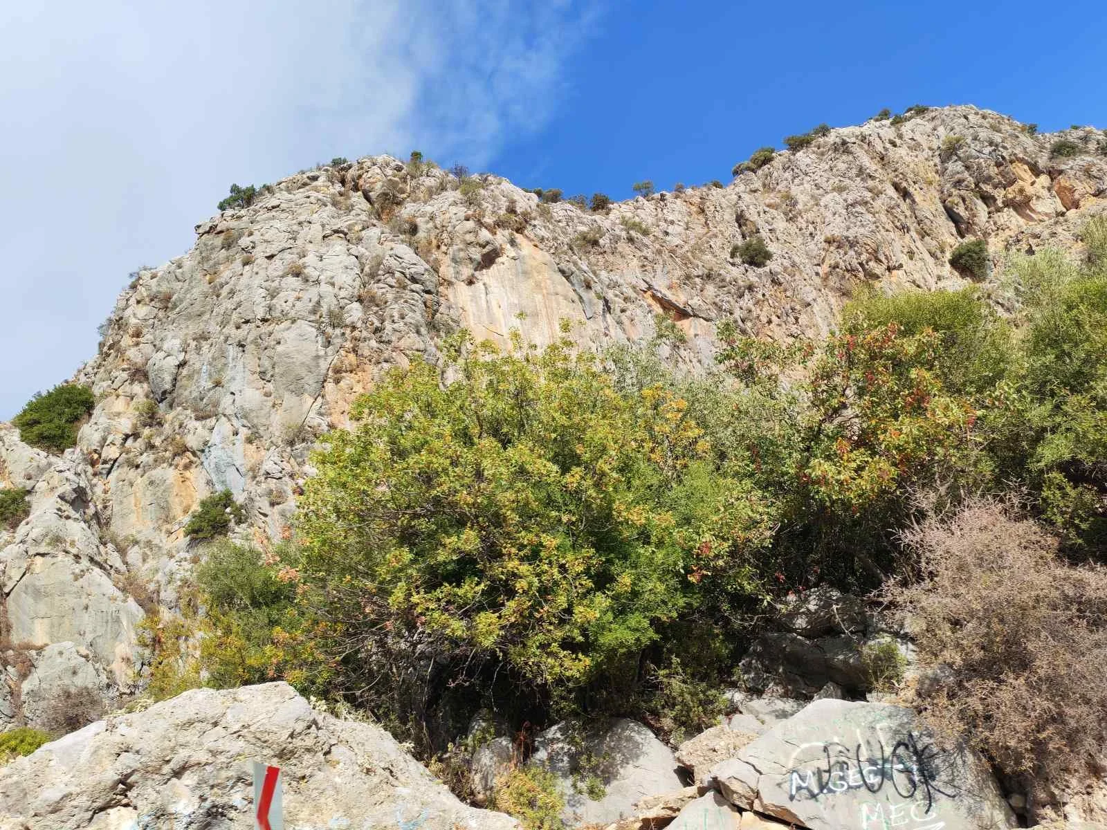 Dağlar ve sağlıklı yeşil bitki örtüsü bulunan doğal alan.