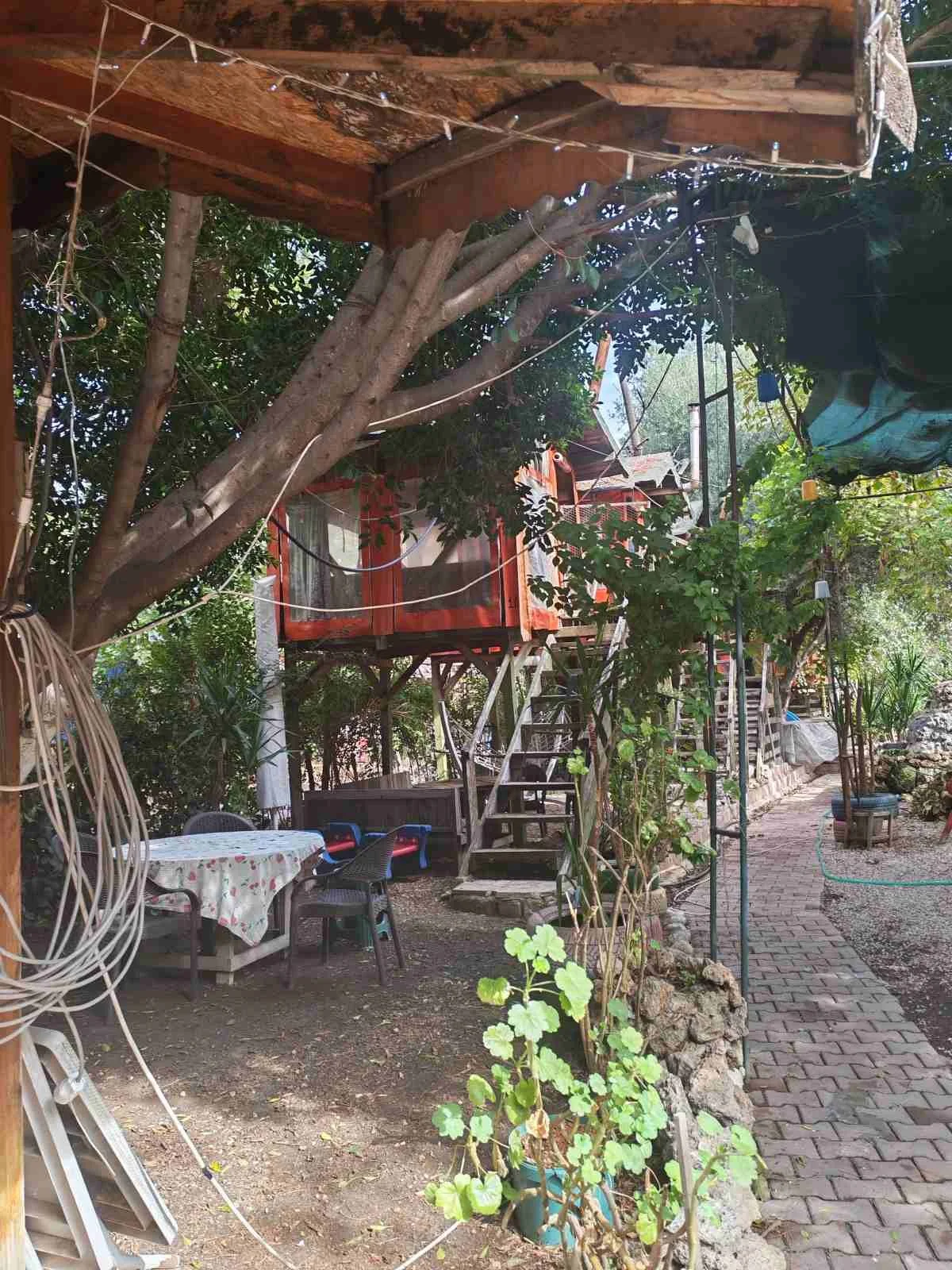 Bahçe alanında, ağaçlar ve bitkilerle çevrili, üzerinde birkaç sandalye ve masa bulunan ahşap bir ev veya yapı. Yoldan görünen ahşap merdivenler ve çeşitli dekoratif objeler var.