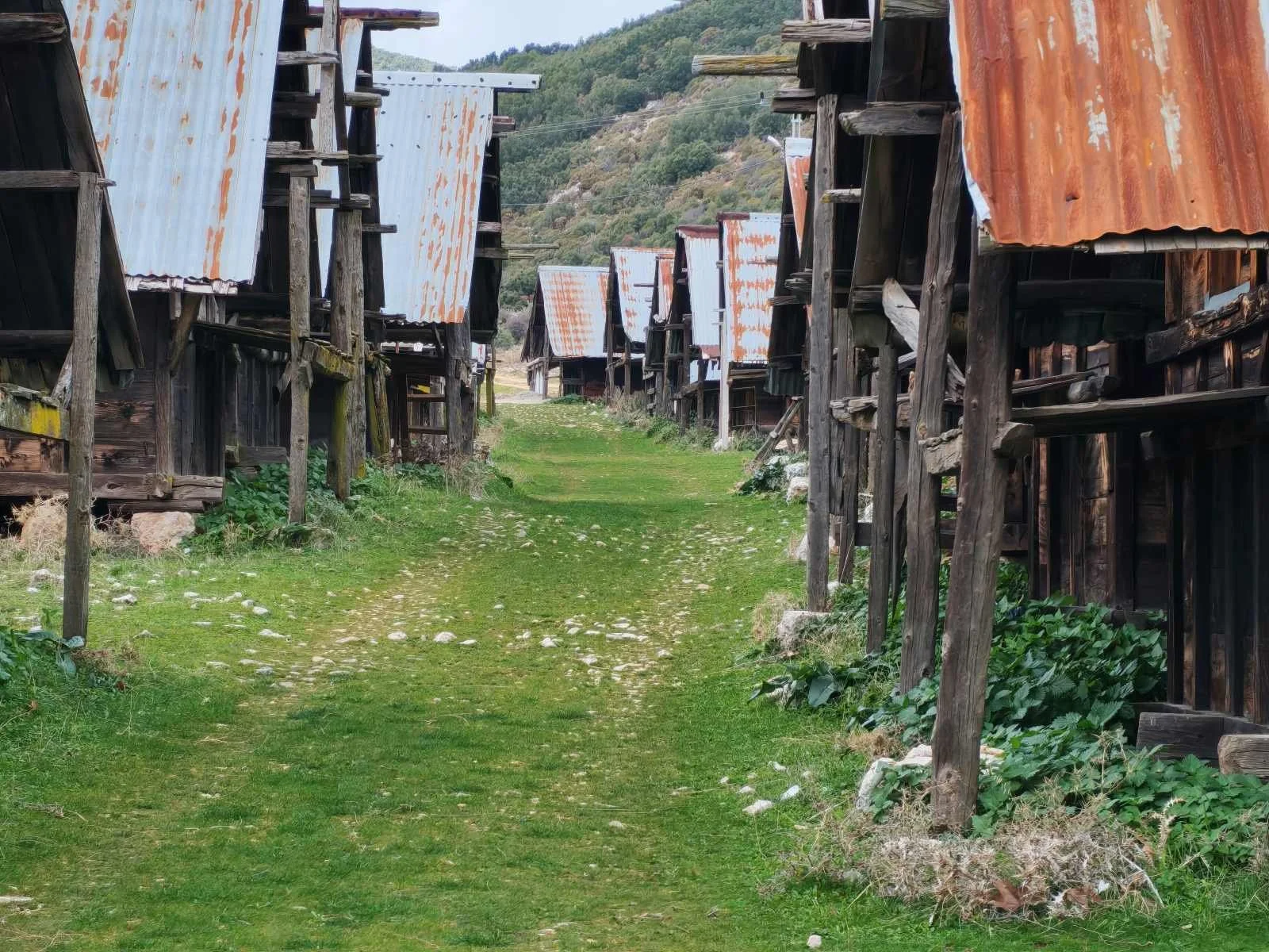 Eski, ahşap ve metal çatılı, terkedilmiş köy evleri, toprak ve çimenlerle kaplı yol.