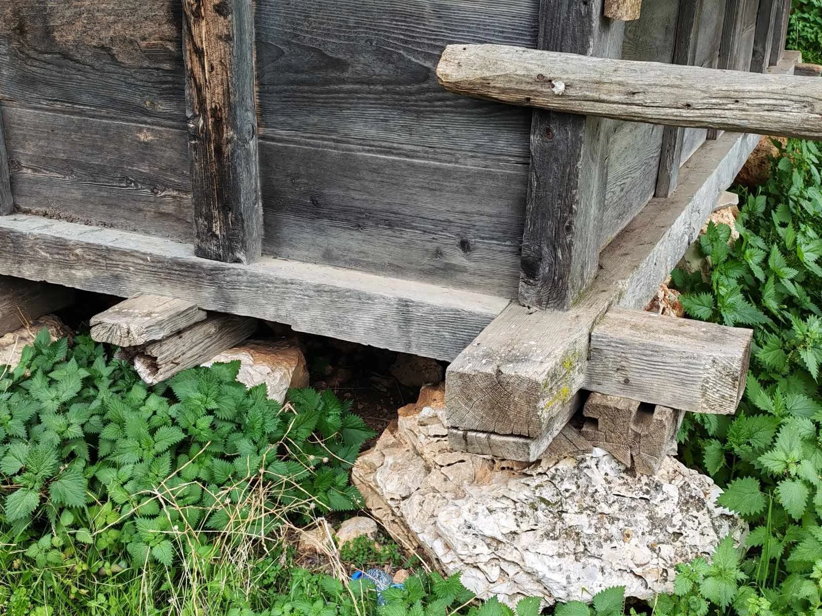 Ahşap bir kulübenin alt kısmı, taşlar ve yeşil bitkilerle çevrelenmiş.