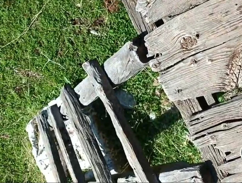 Eski, yanmış veya zarar görmüş ahşap paletler ve tahta parçaları yeşil çim zemin üzerinde bulunuyor.