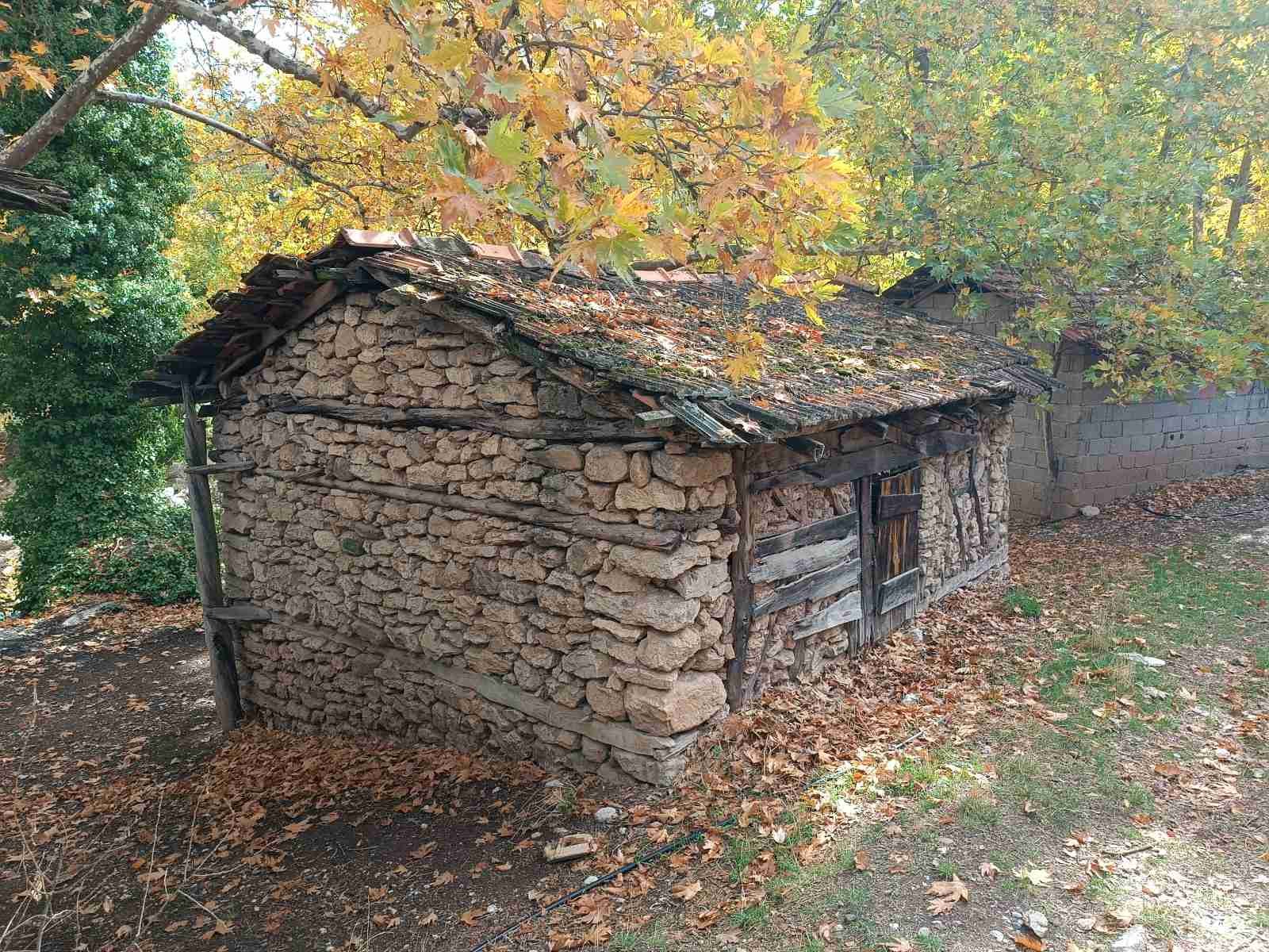 Ahşap ve taş malzemelerden yapılmış eski küçük bir kulübe, üzerinde kuru yapraklar ve ağaçlar bulunan doğa ortamında.
