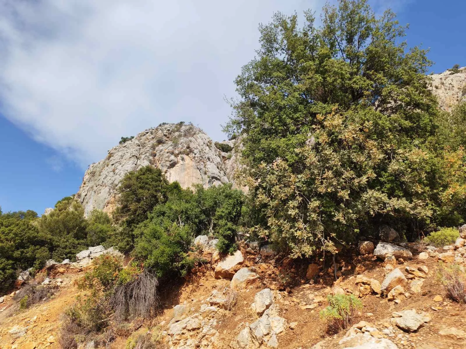Dağlık alanda ağaçlar ve kayaçlar görülüyor, gökyüzü mavi ve bulutsuz.