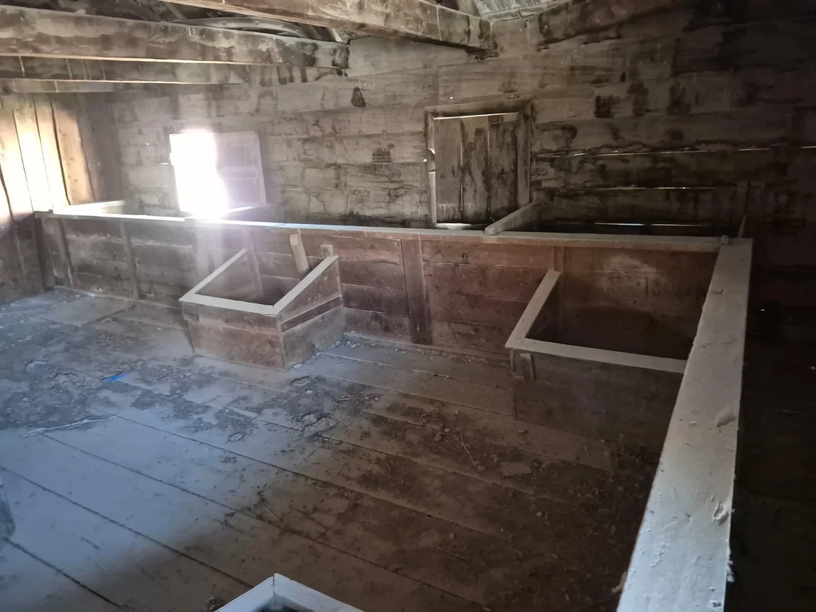 Eski ahşap yapılı odada yeni inşa edilen yuva kutuları ve alanları.