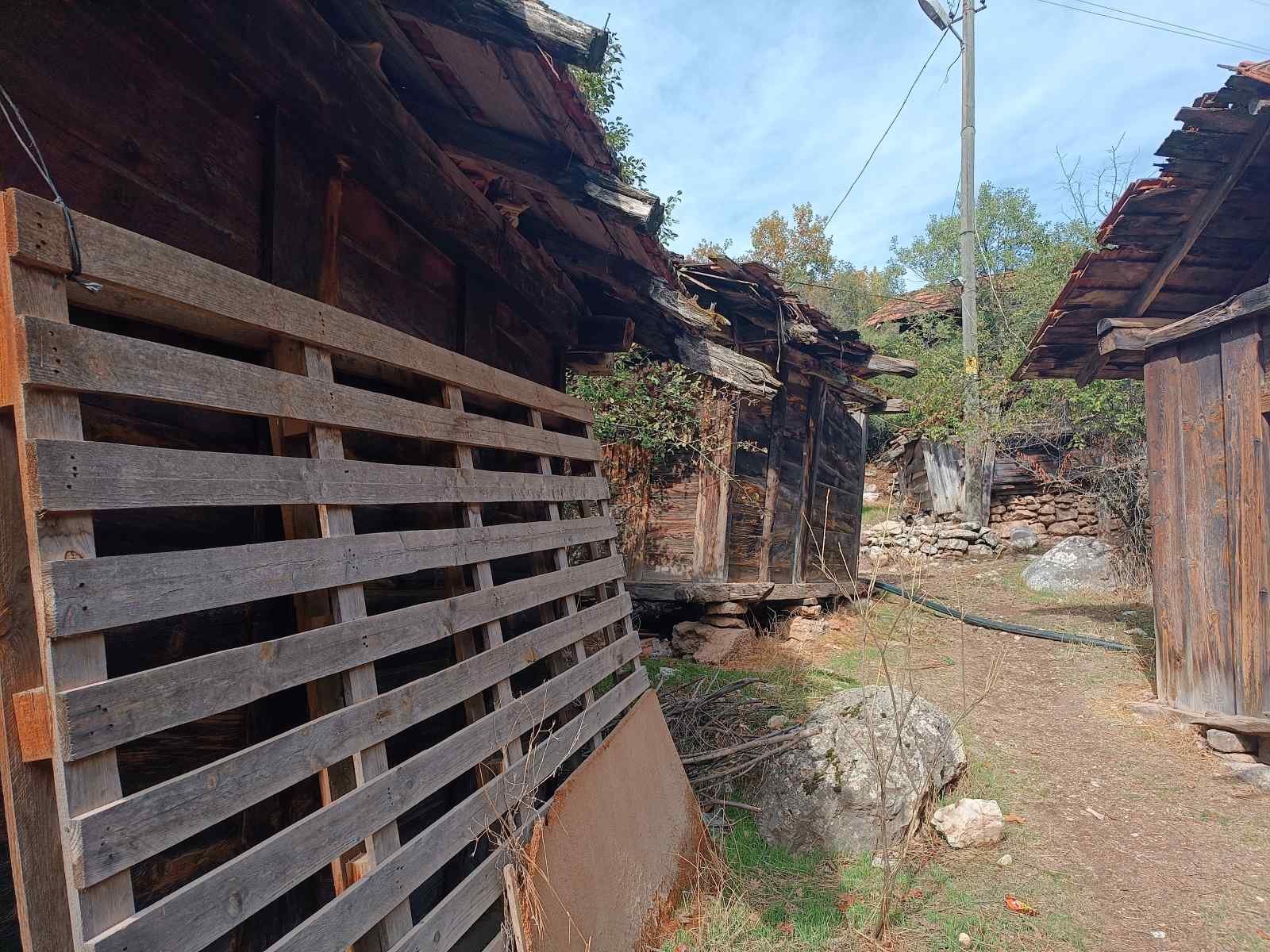 Eski ve bakımsız ahşap kulübeler ve gölgeli arazideki toprak yol, some büyük taşlar ve ağaçlar ile çevrili.