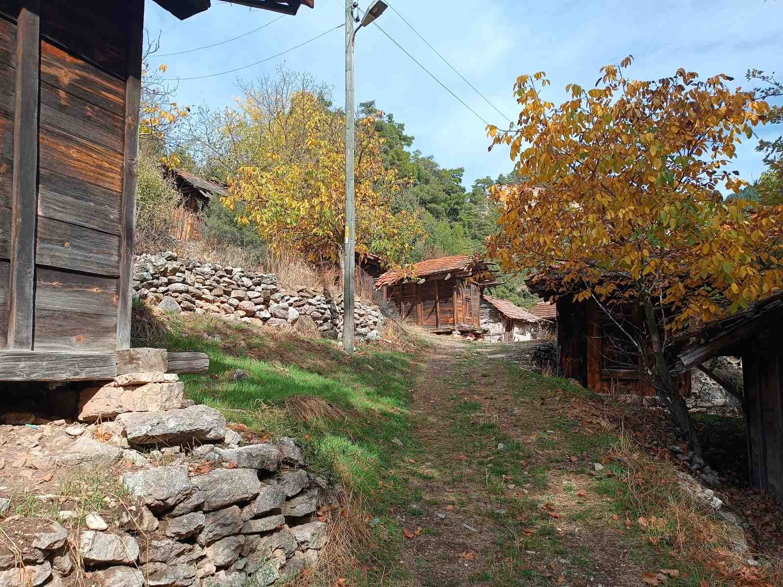 Dağlık alanda yer alan, ağaçlar ve ahşap evler içeren genellikle kırsal bir köy manzarası, toprak yol ve telefon direği