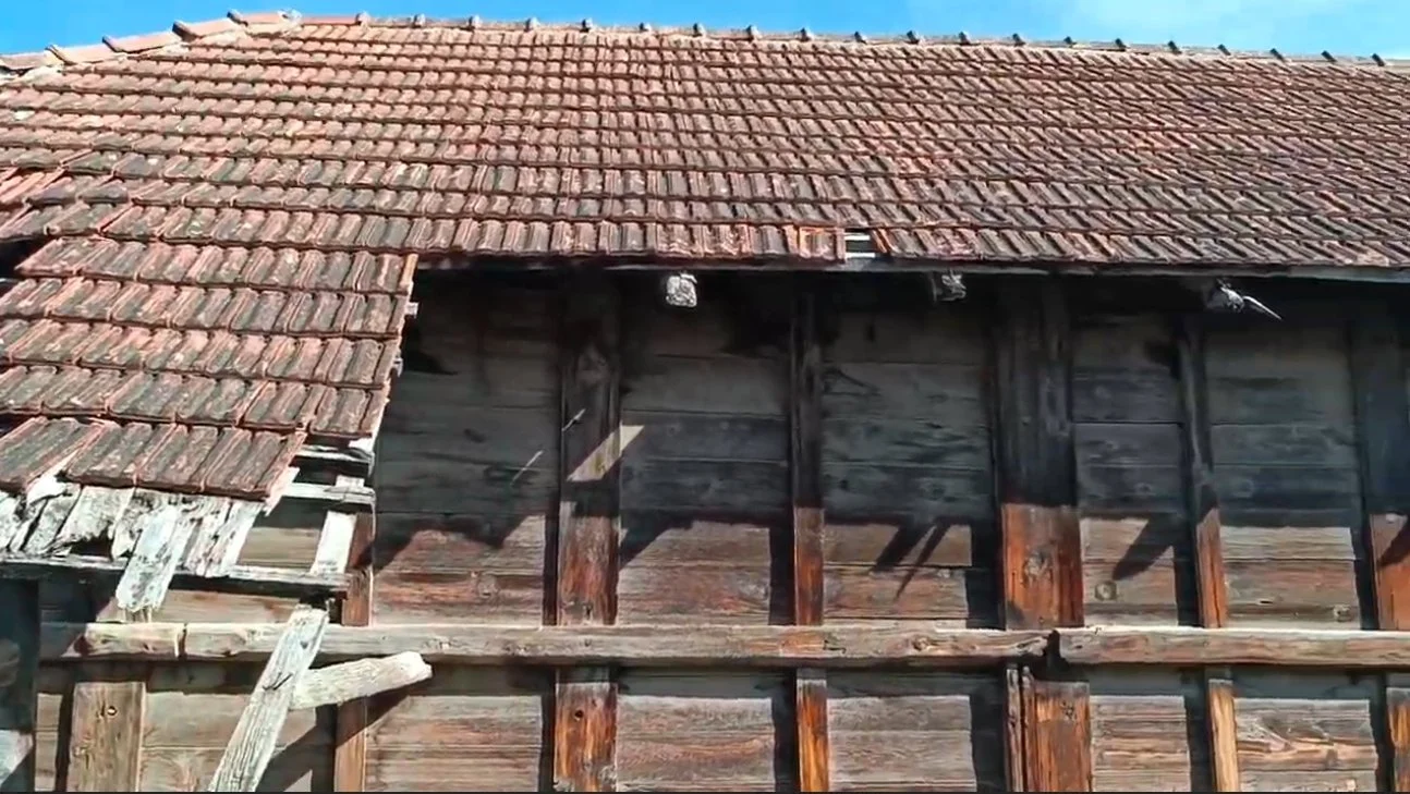 Eski, ahşap ve kiremit çatılı bir bina, çatıda ve duvarlarda bozukluklar ve hasarlar bulunuyor.