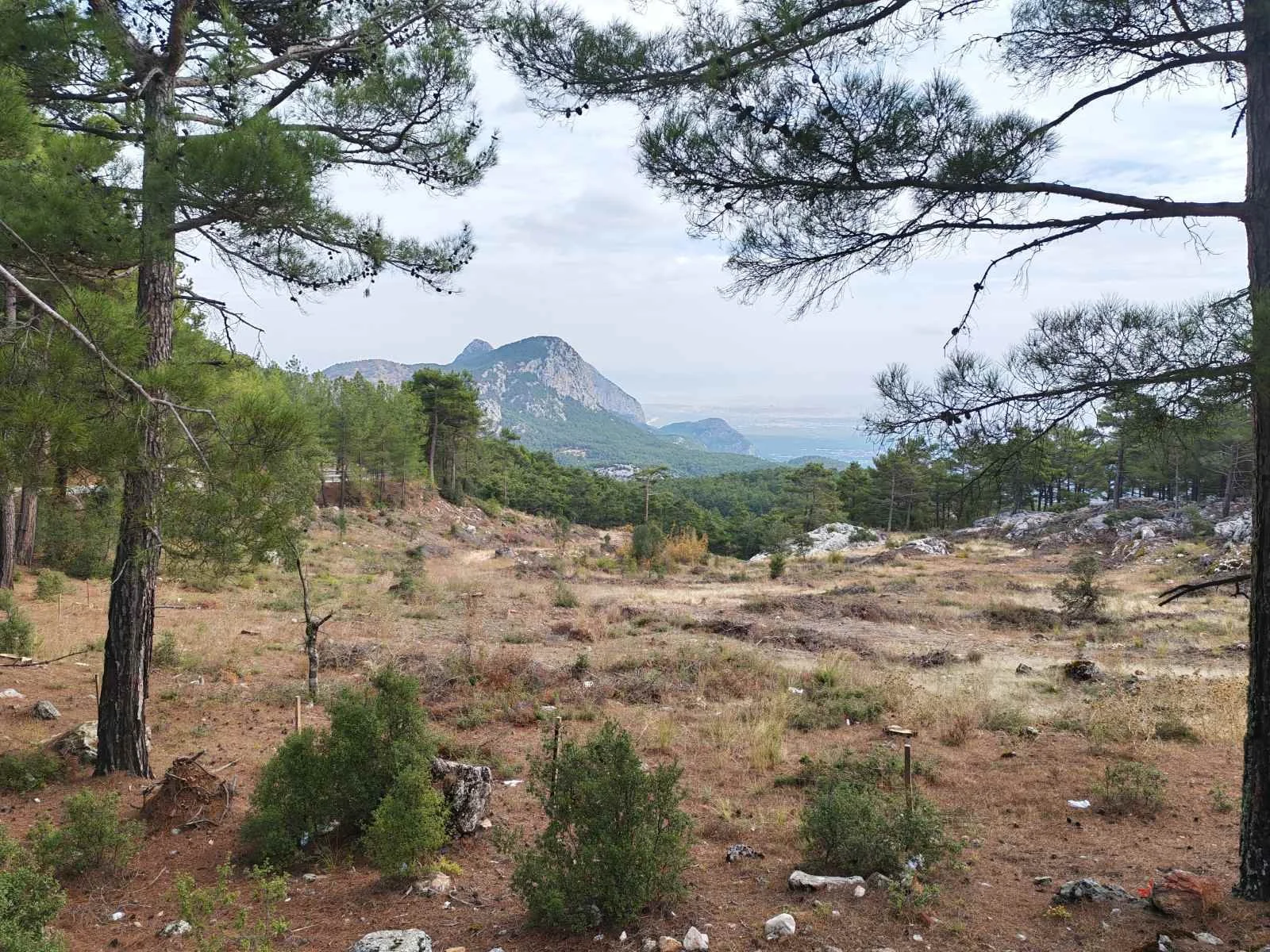 Dağlar ve ağaçlar ile ormanlık ve taşlı arazi, gökyüzü açık ve bulutlu.