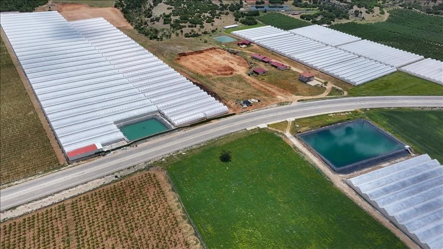 Tarla ve sera alanları, iki büyük sera, bir gölet ve küçük yapılar, tarım ortamı.