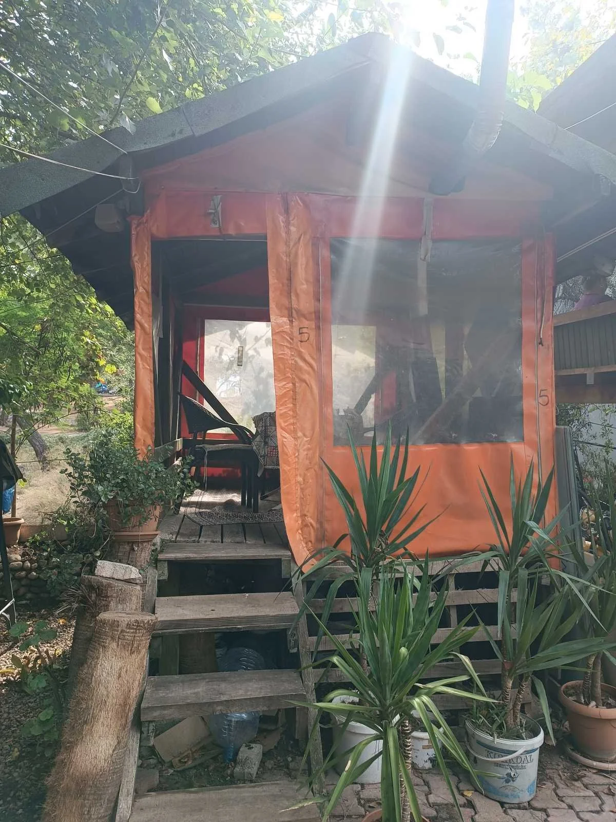 Pencere ve kapıların camları olan, ahşaptan yapılmış küçük bir kulübe, önünde üç basamaktan oluşan ahşap merdivenler ve çeşitli büyük ve küçük saksılarda bitkiler bulunan, güneş ışığının girdiği, açık hava ortamında bir ev.