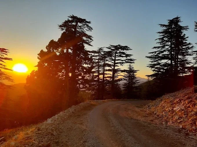 Gün batımında küçük bir yolu, arka planda ise ağaçlar ve dağlar gölgesiyle çevrili orman manzarası.