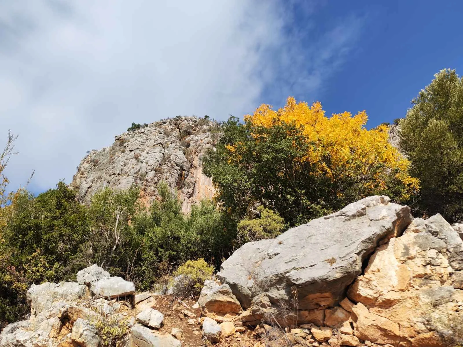 Dağlık alanda kayalar ve ağaçlar, gökyüzü mavi ve bulutlu.