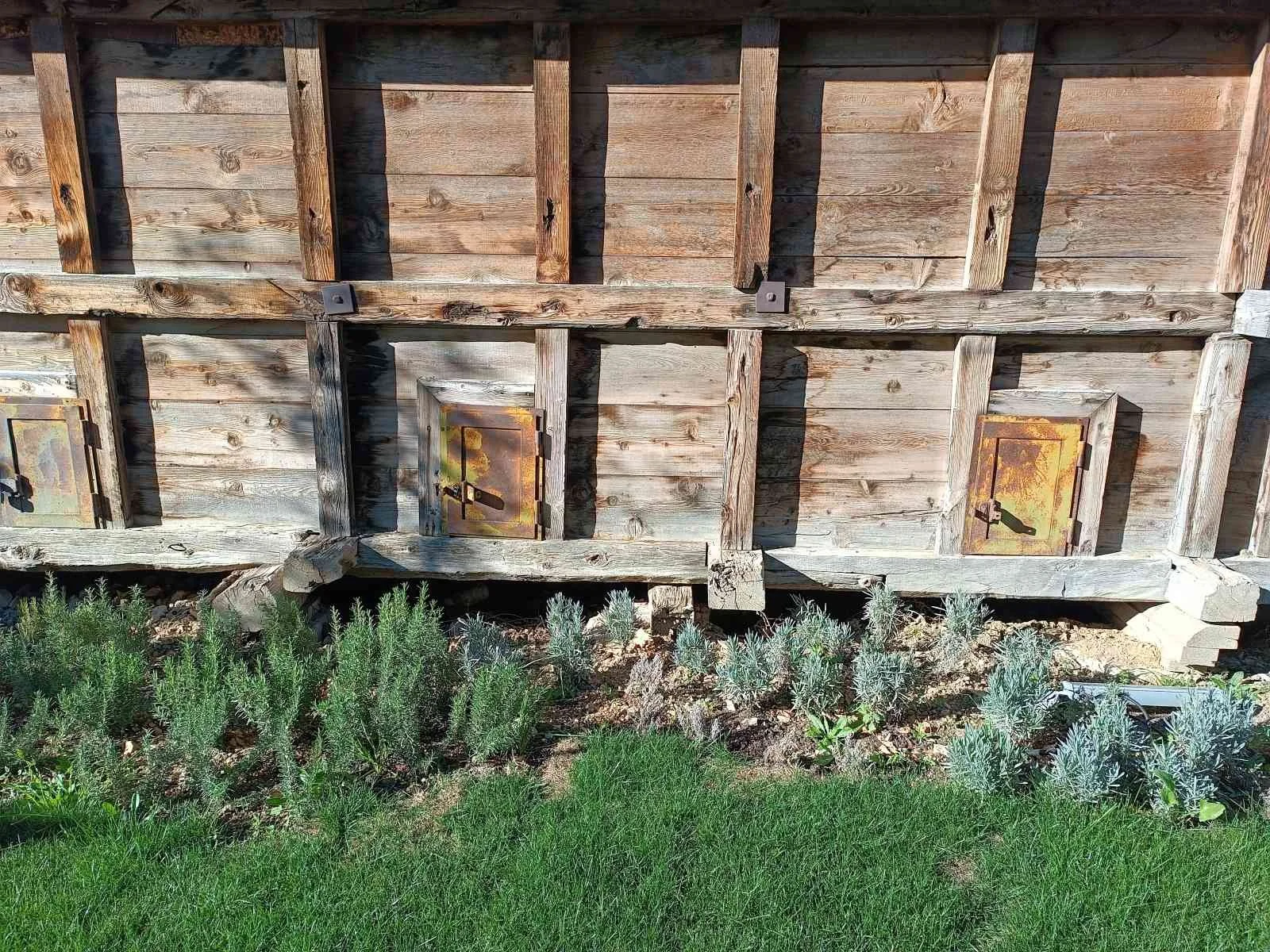 Ahşap bir duvar ve gömme kapaklar, duvarın altında yeşil bitki ve çim bahçe