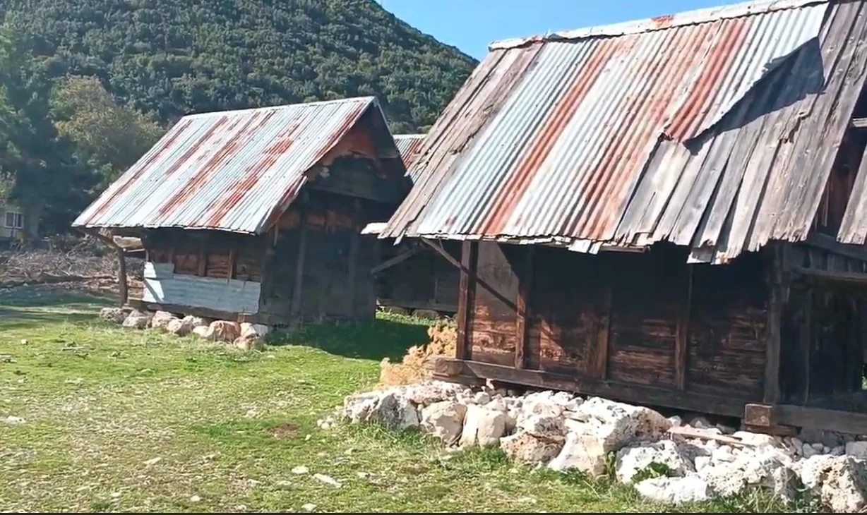 Çatısı metal levhalarla kaplı iki ahşap ambar, yeşil alan ve ağaçlı dağların arka planında.