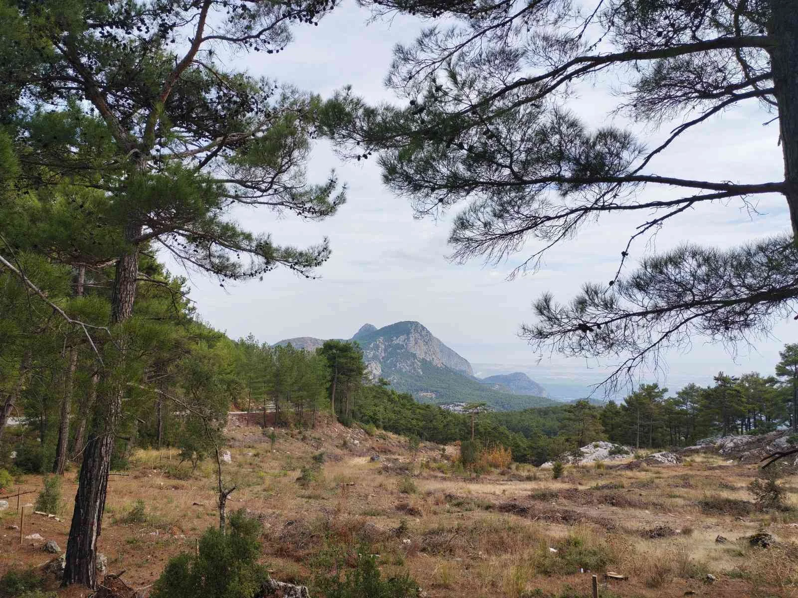 Dağlar ve ormanlarla kaplı doğa manzarası, gökyüzü ve arazi görünümü.