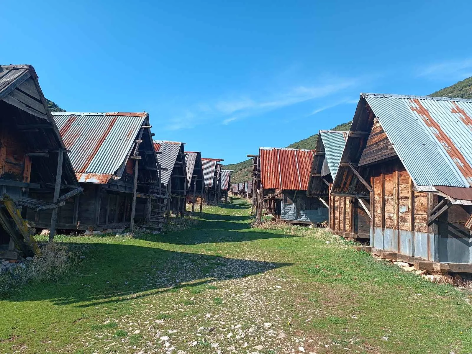 Ünlü bir eski ahşap köy evleri ve metal çatıların bulunduğu bir sokak, yeşil çimenler ve mavi gökyüzü ile çevrili.