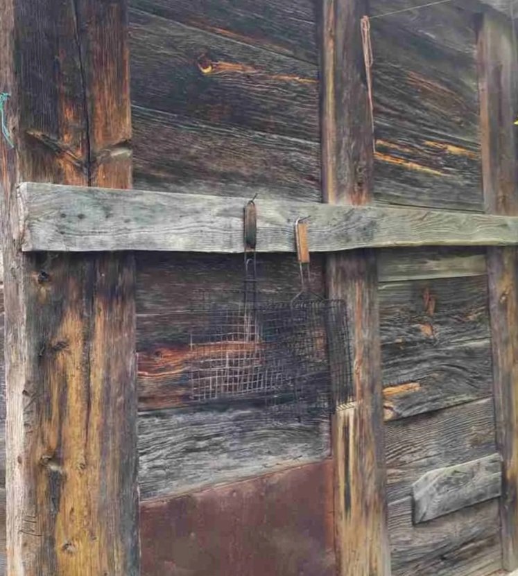 Ambara çakılmış çiviye asılan mangal teli