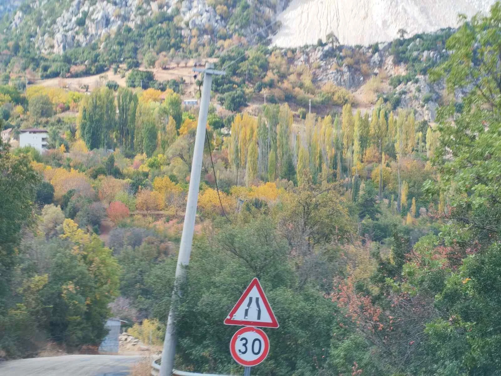 İnek ve atlar ise yol üzerinde. Yol ise hız limiti 30 km olan, iki şeritli trafik uyarı levhası ile belirtilmiş.
