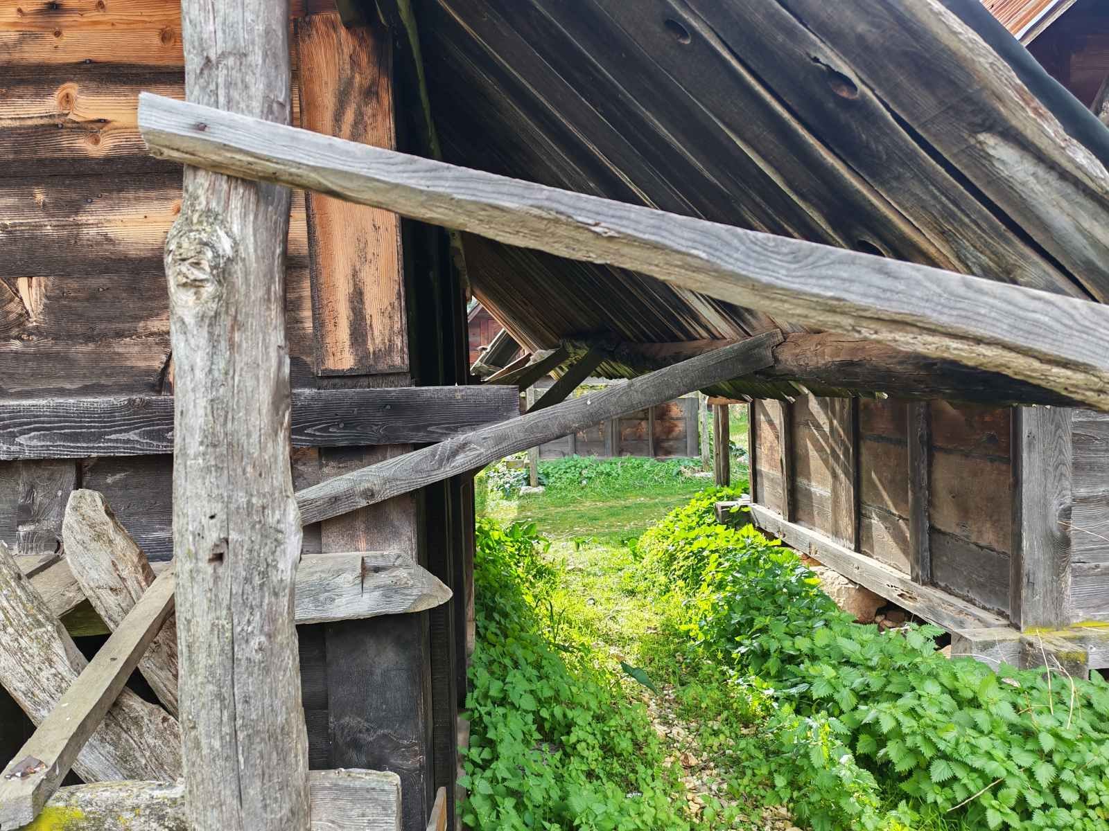Ahşap bir kulübe veya yapı, çatısında bazı tahtalar ve yaklaşık olarak sağda ve solda yeşil bitkilerle çevrili.