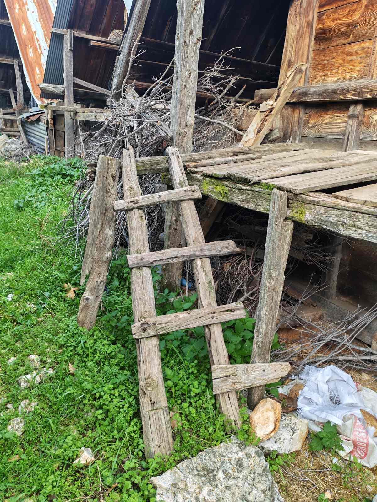 Eski, ahşap bir merdiven ve yapıdaki kırık, dökük ve hasar görmüş ahşap zemin ve duvarlar. Yanında ağaç dalları ve yeşil otlar ile çevrili.