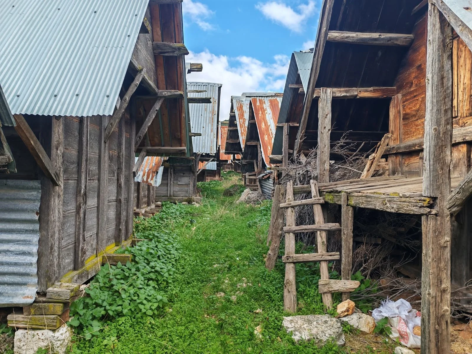 Eski ahşap ve metal çatılarla inşa edilmiş, bakımsız ve terkedilmiş ahşap yapılar arasındaki toprak bir yolda yeşil bitki örtüsüyle çevrili.