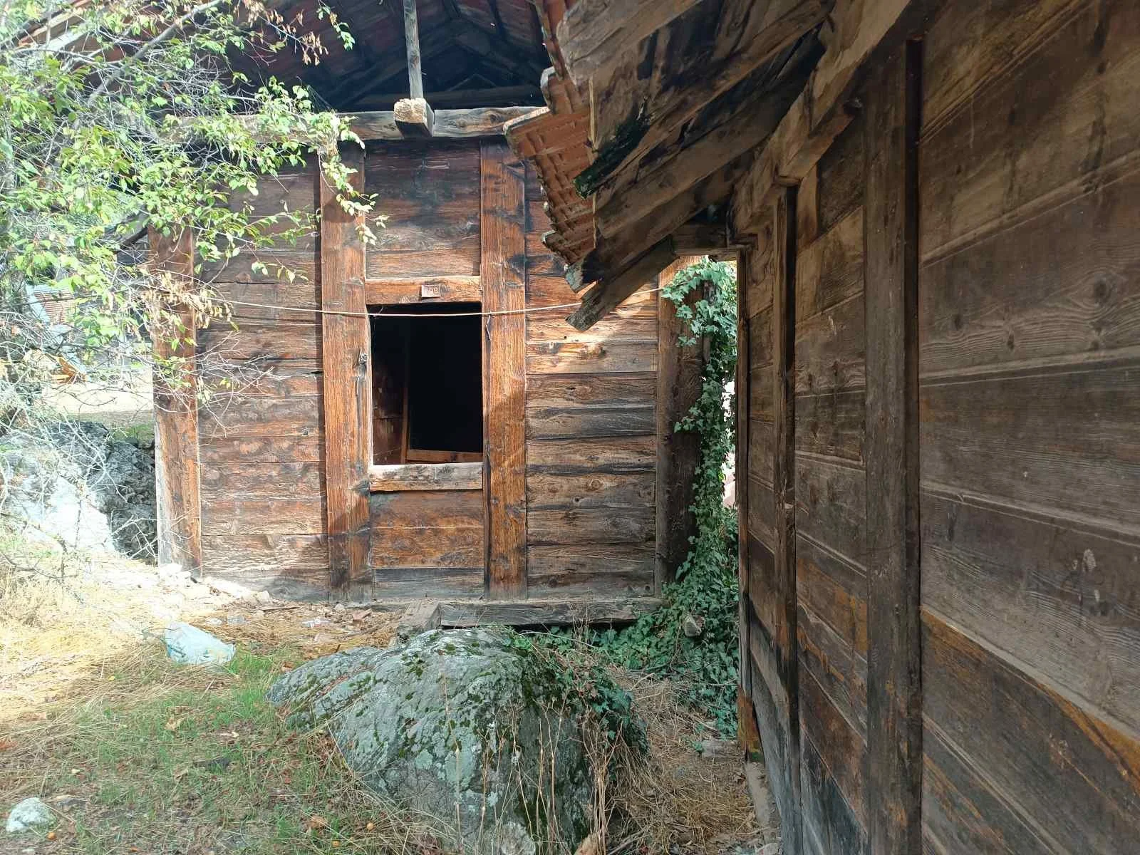 Eski, ahşap bir kulübe veya yapı, etrafında doğal ortam ve bitki örtüsü bulunuyor.