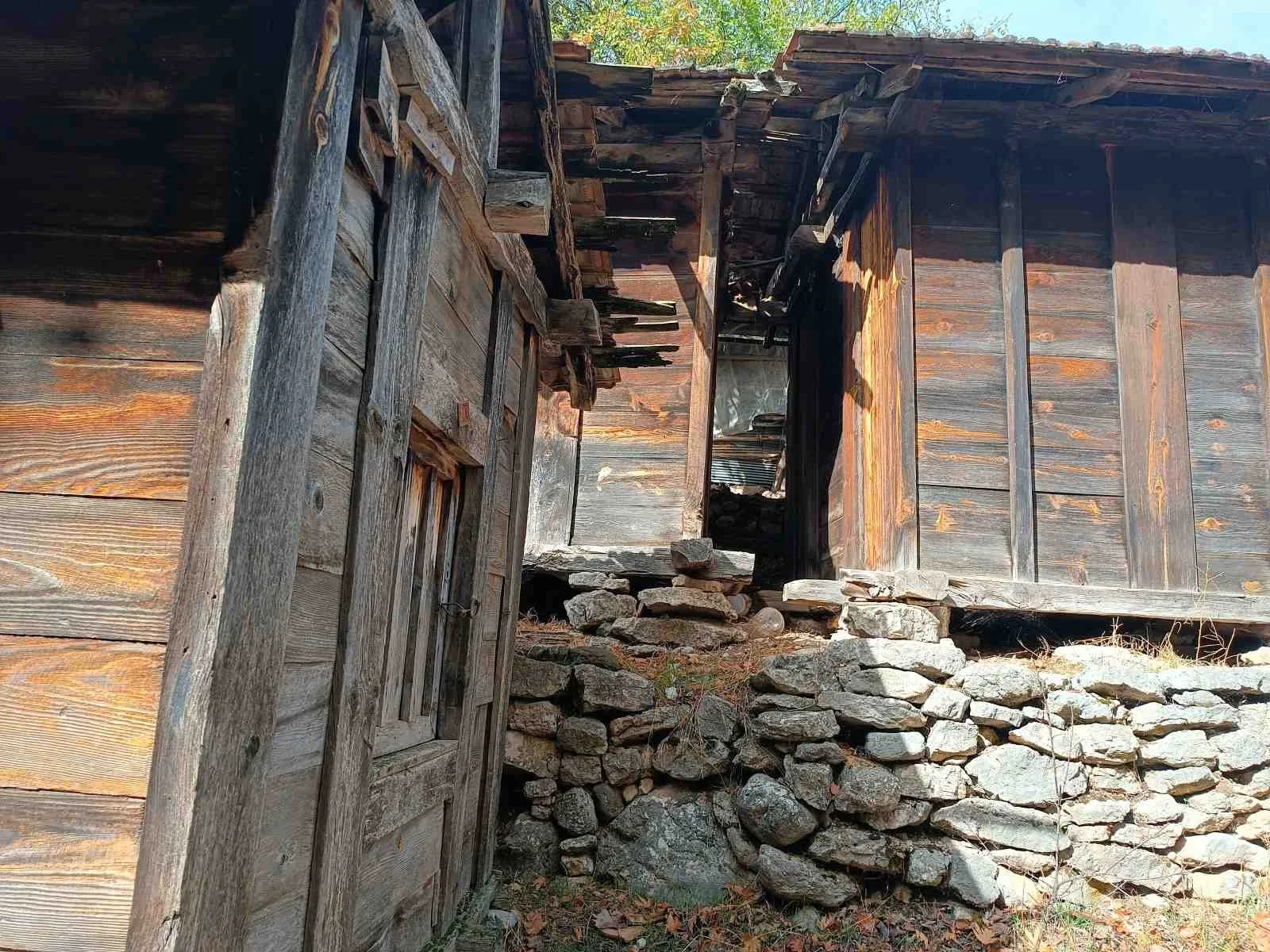 Ahşap ve taş malzemelerden yapılmış, eski ve yıkık bir yapı, üst kısmında ağaç gövdesi ve yapraktan oluşan ağaçların gölgesi altında.