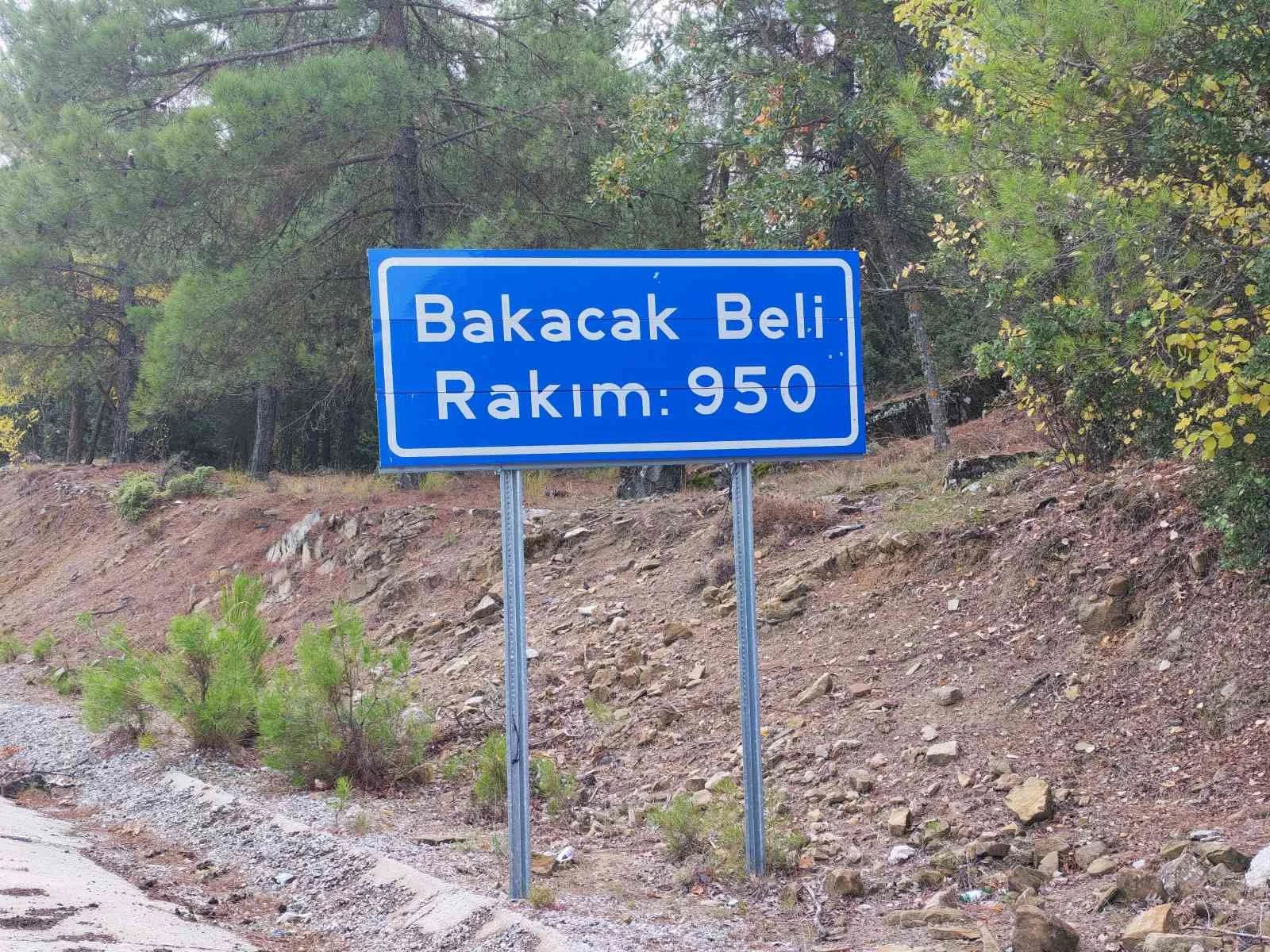 Bakacak Beli, rakım 950