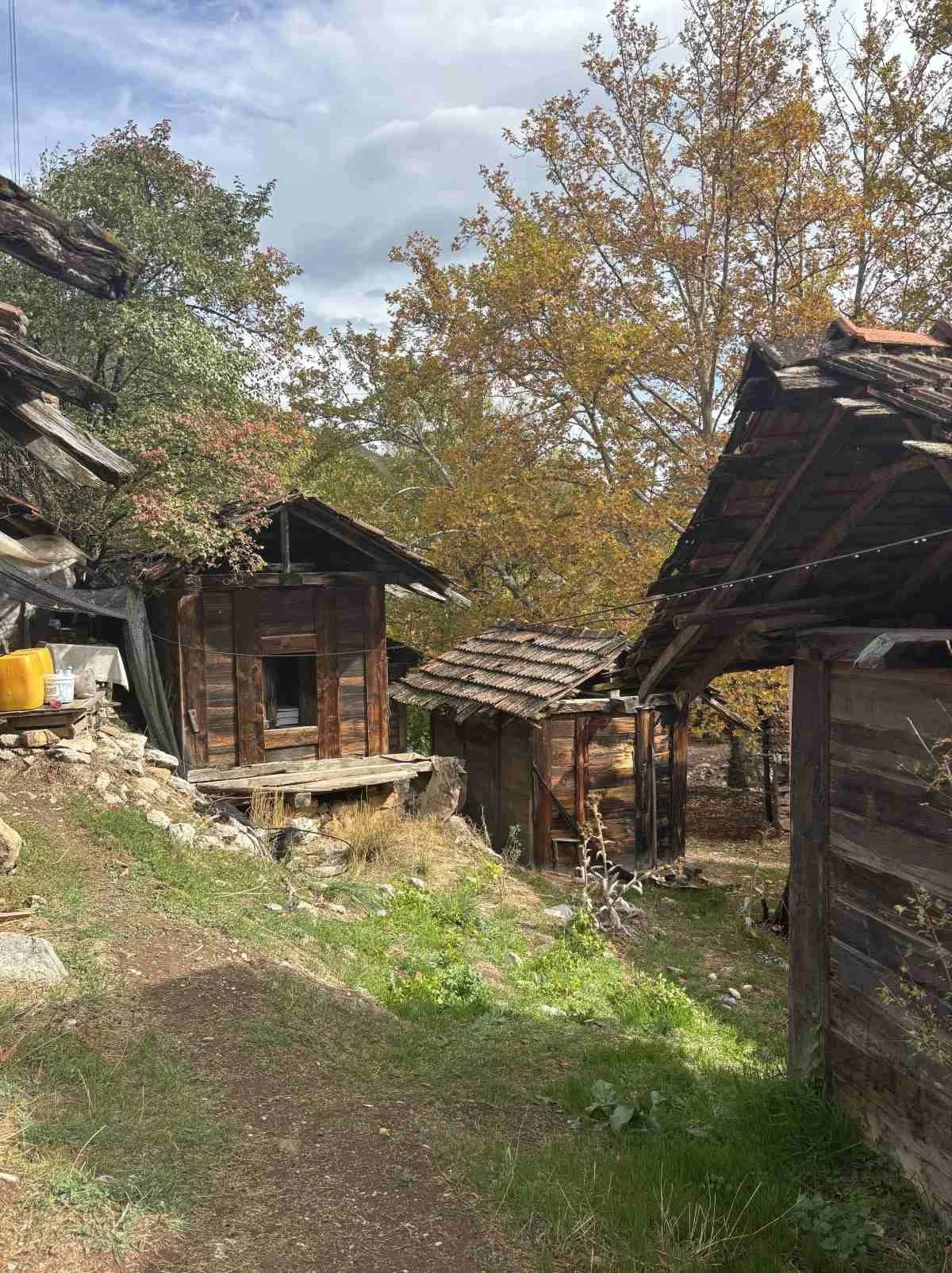 Eski ahşap evler ve ağaçlar ile doğa manzarası, turuncu ve yeşil yapraklar, bulutlu gökyüzü