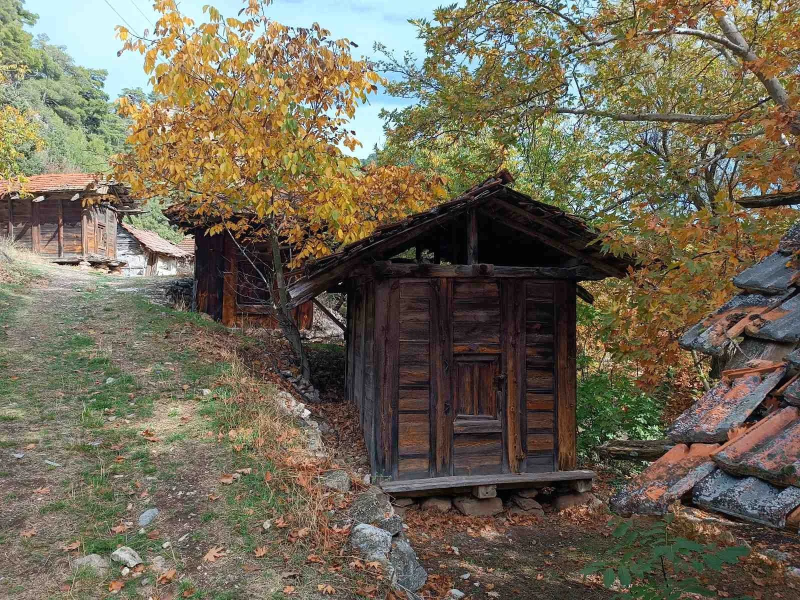 Eski ahşap kulübe ve diğer ahşap evler, sonbahar yapraklarıyla çevrili doğal bir manzara.