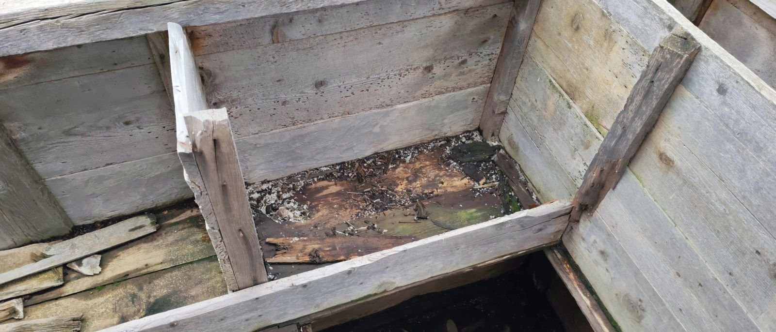 Ahşap bir bahçe veya sığınak kutusu, iç bölmesinde çürümüş ve hasar görmüş odun parçaları bulunuyor.