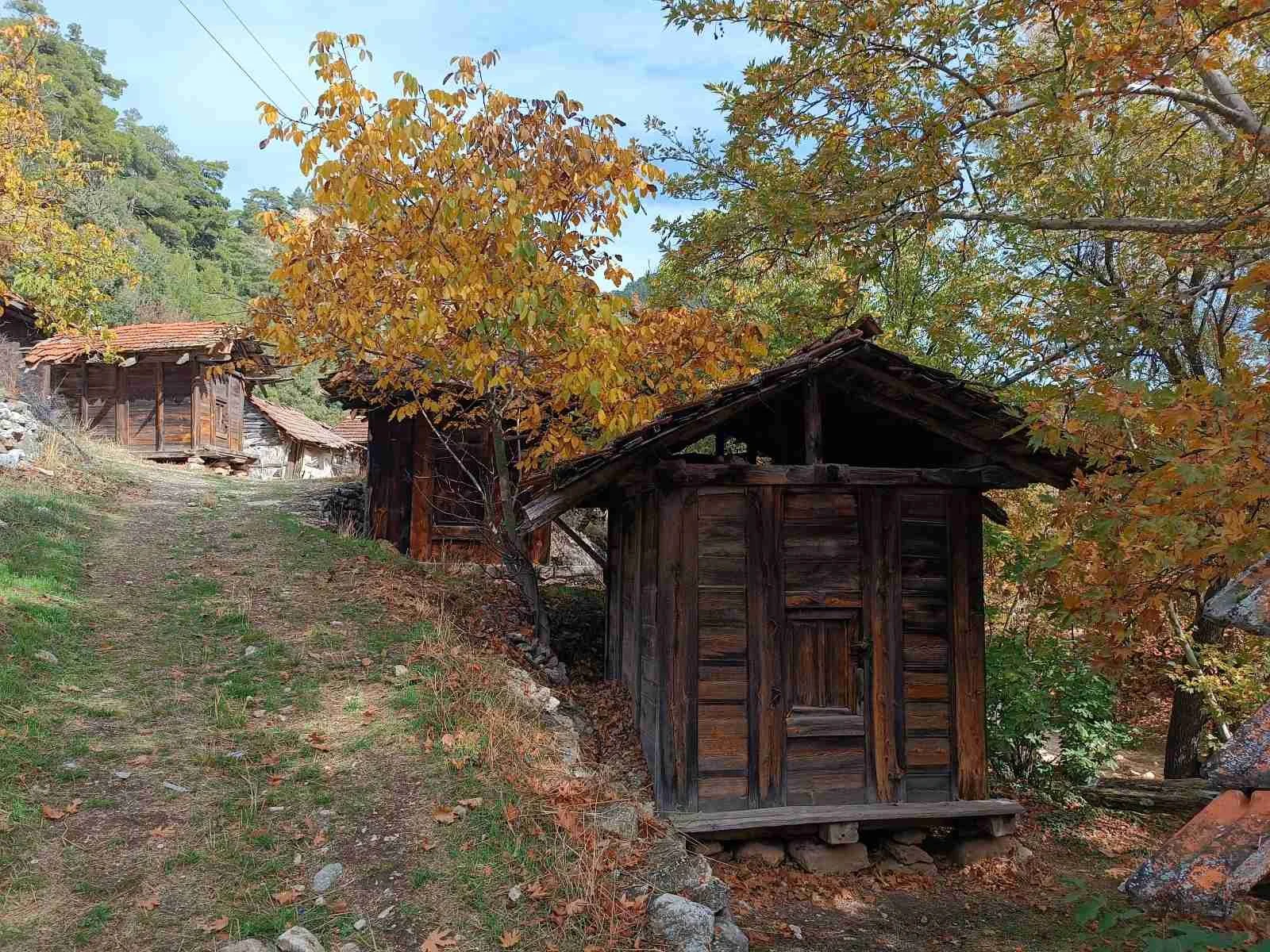 Meşe ağaçları ve ahşap kulübeler ile doğa manzarası, sonbahar mevsimi.
